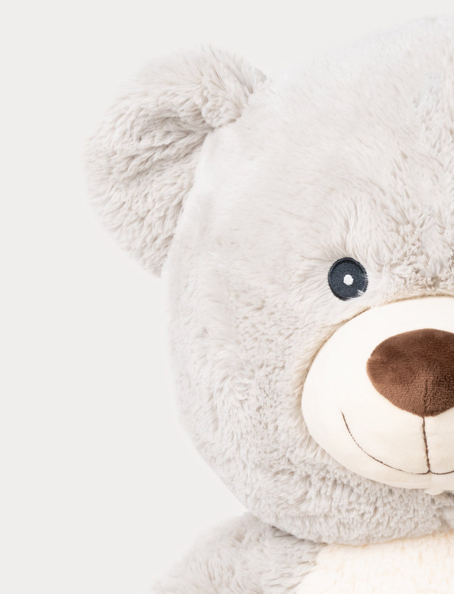 Image of Valle, Teddy Bear, Big