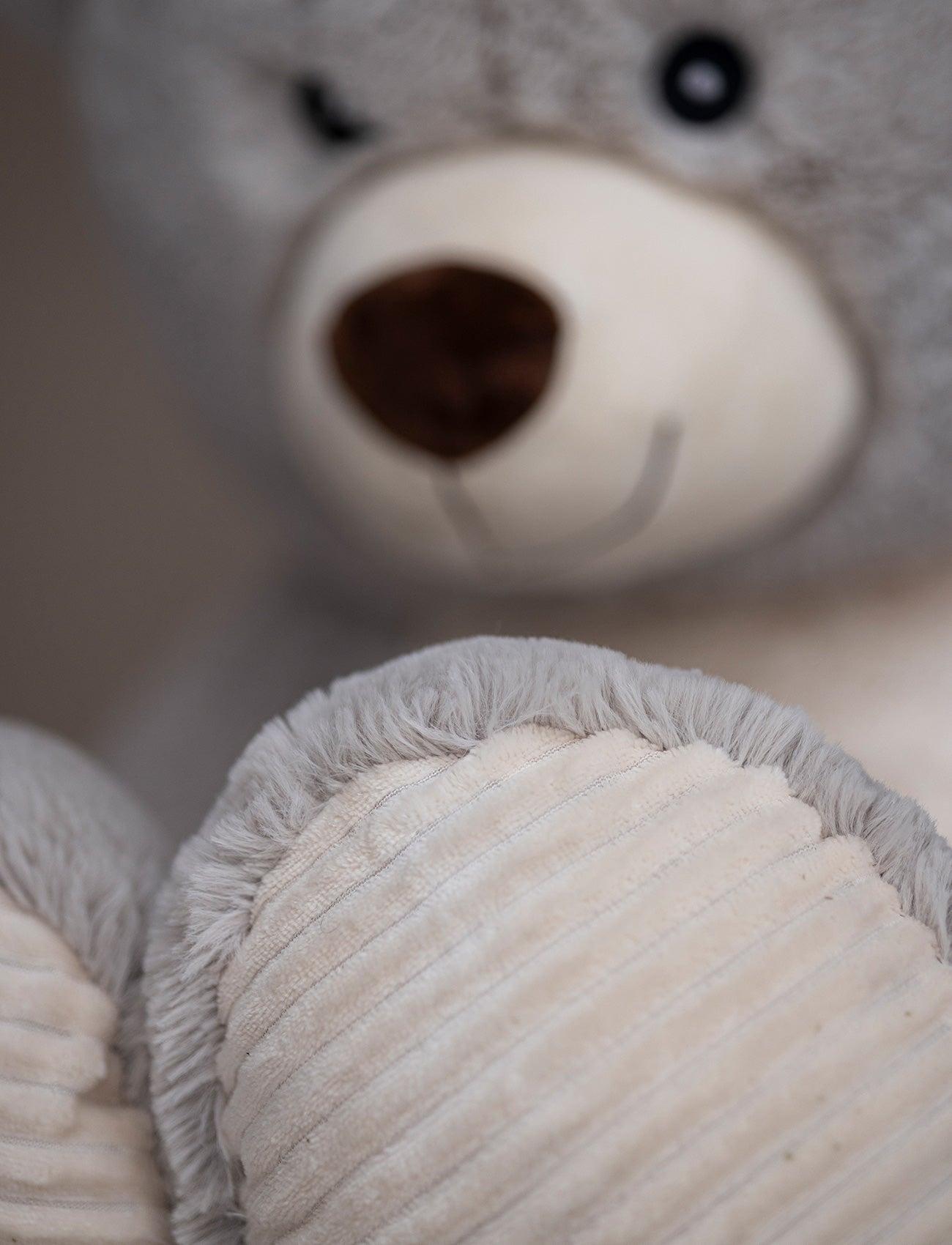 Image of Valle, Teddy Bear, Big