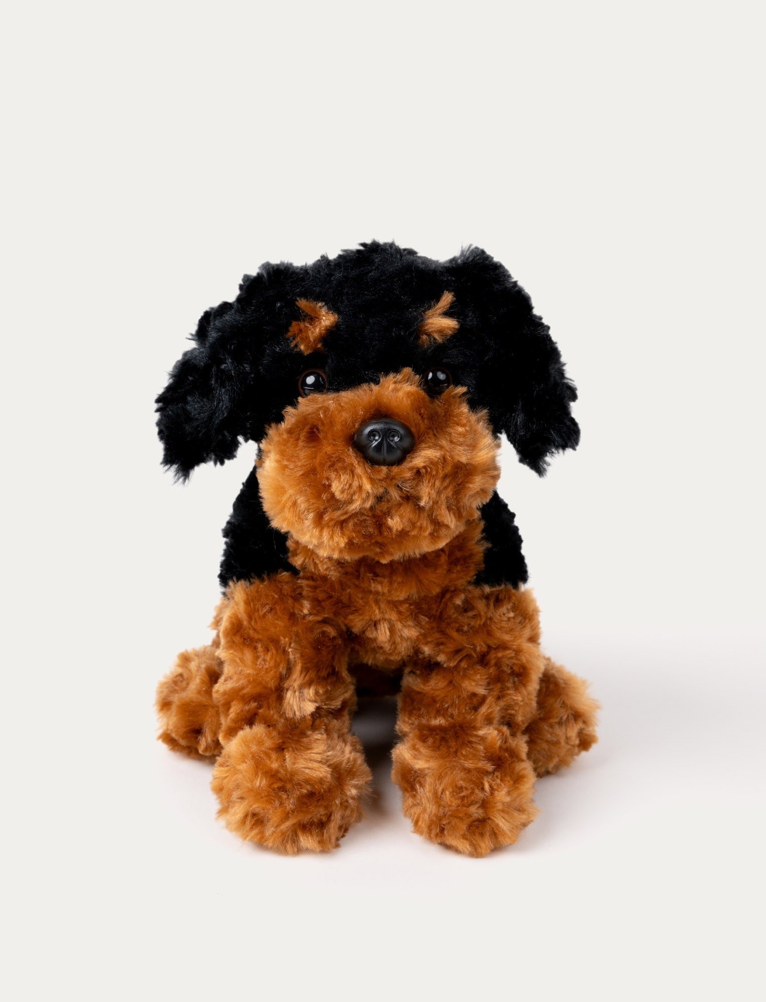 Image of Curly plush dog in black and brown with soft fur, floppy ears, and a friendly expression.