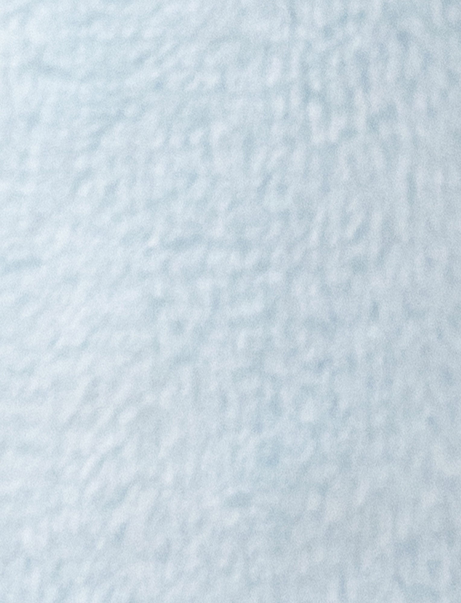 Image of Diinglisar, Rattle, Mouse