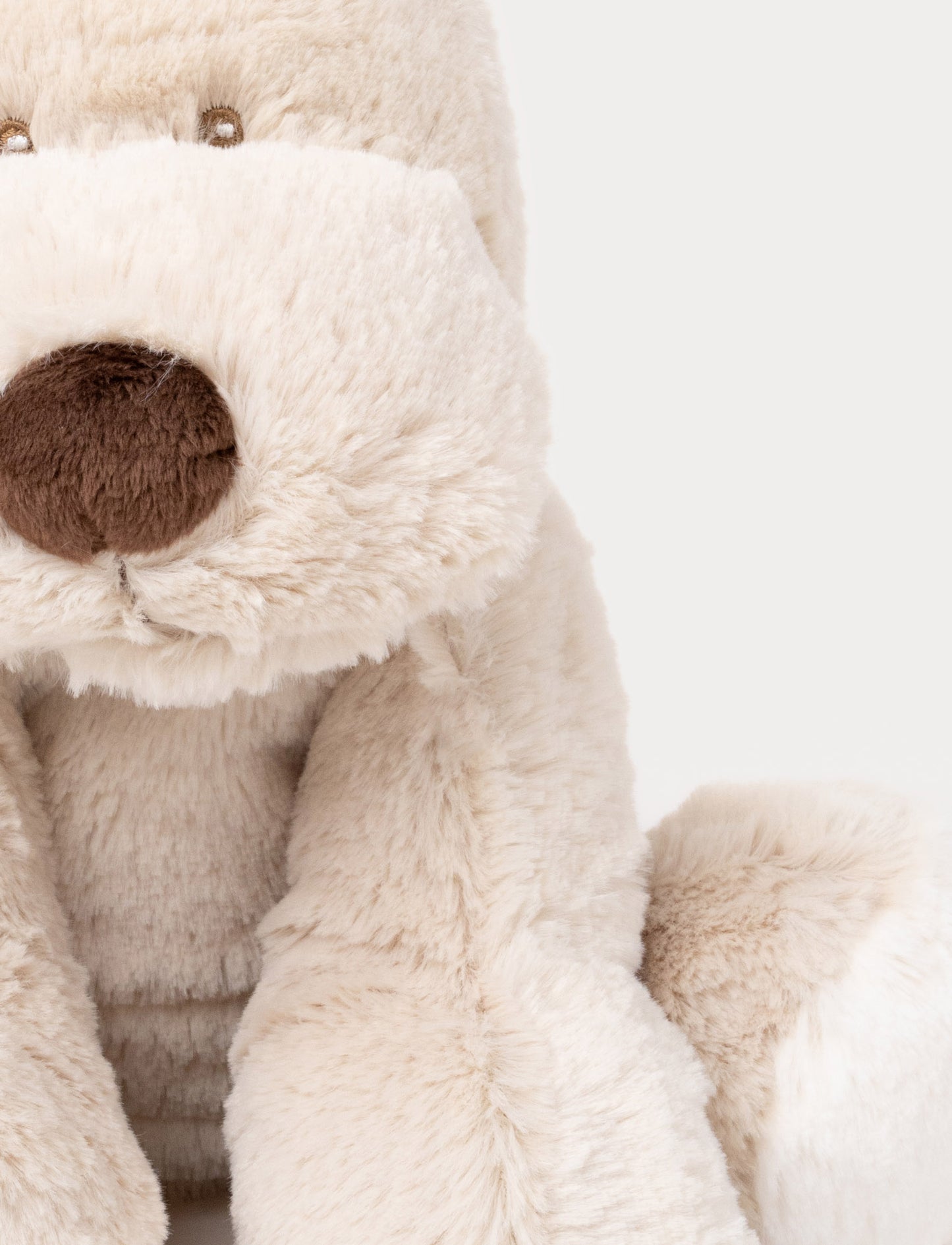 Teddy Cream, Dog, Big