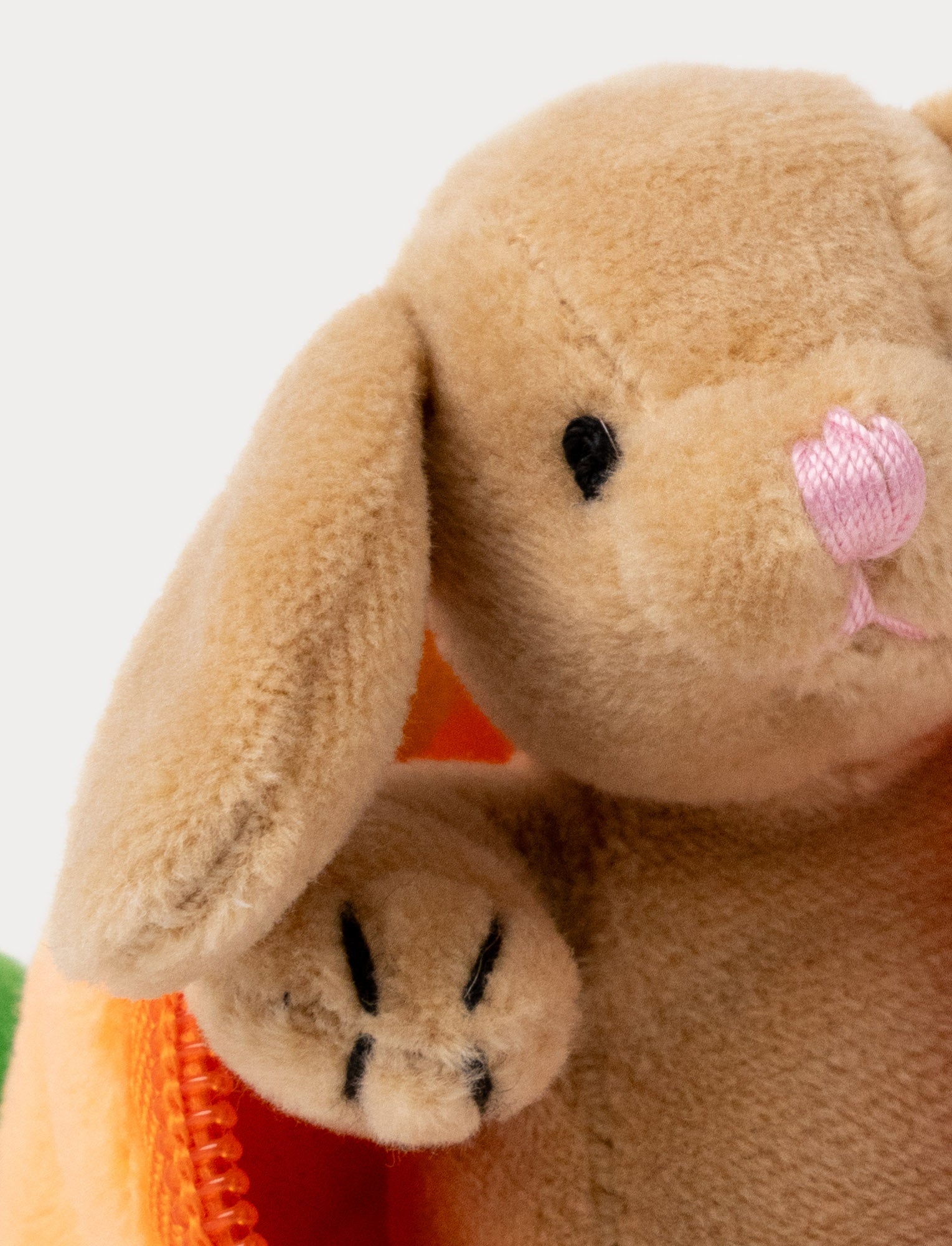 Image of Kanin i morot