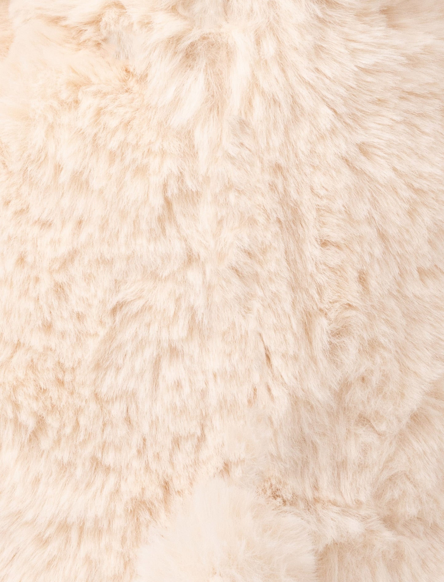 Dreamies, Teddy Bear, Big