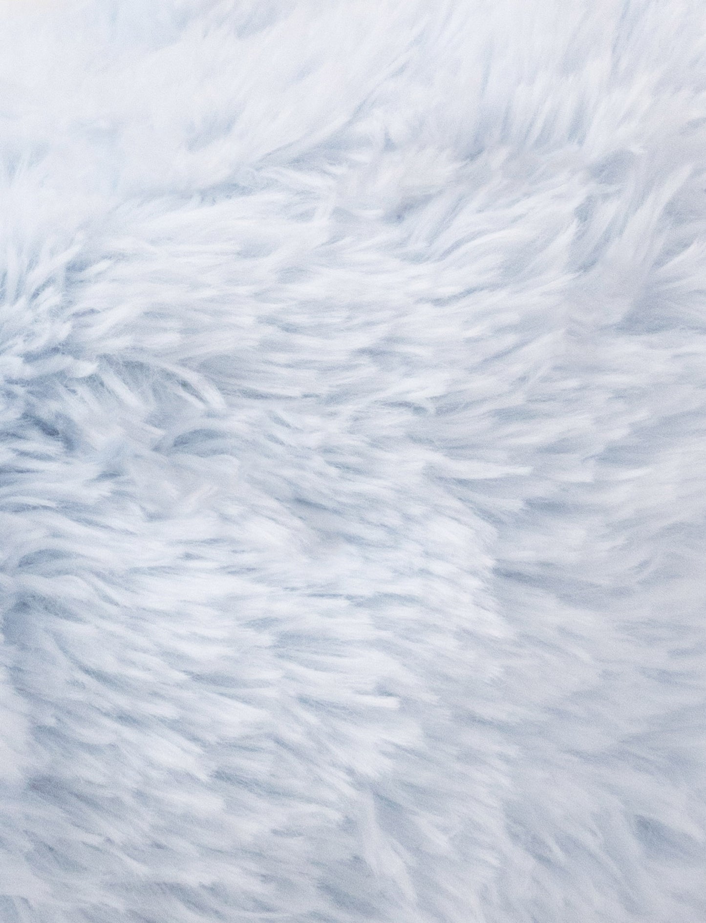 Lolli Bunnies, Tofflor