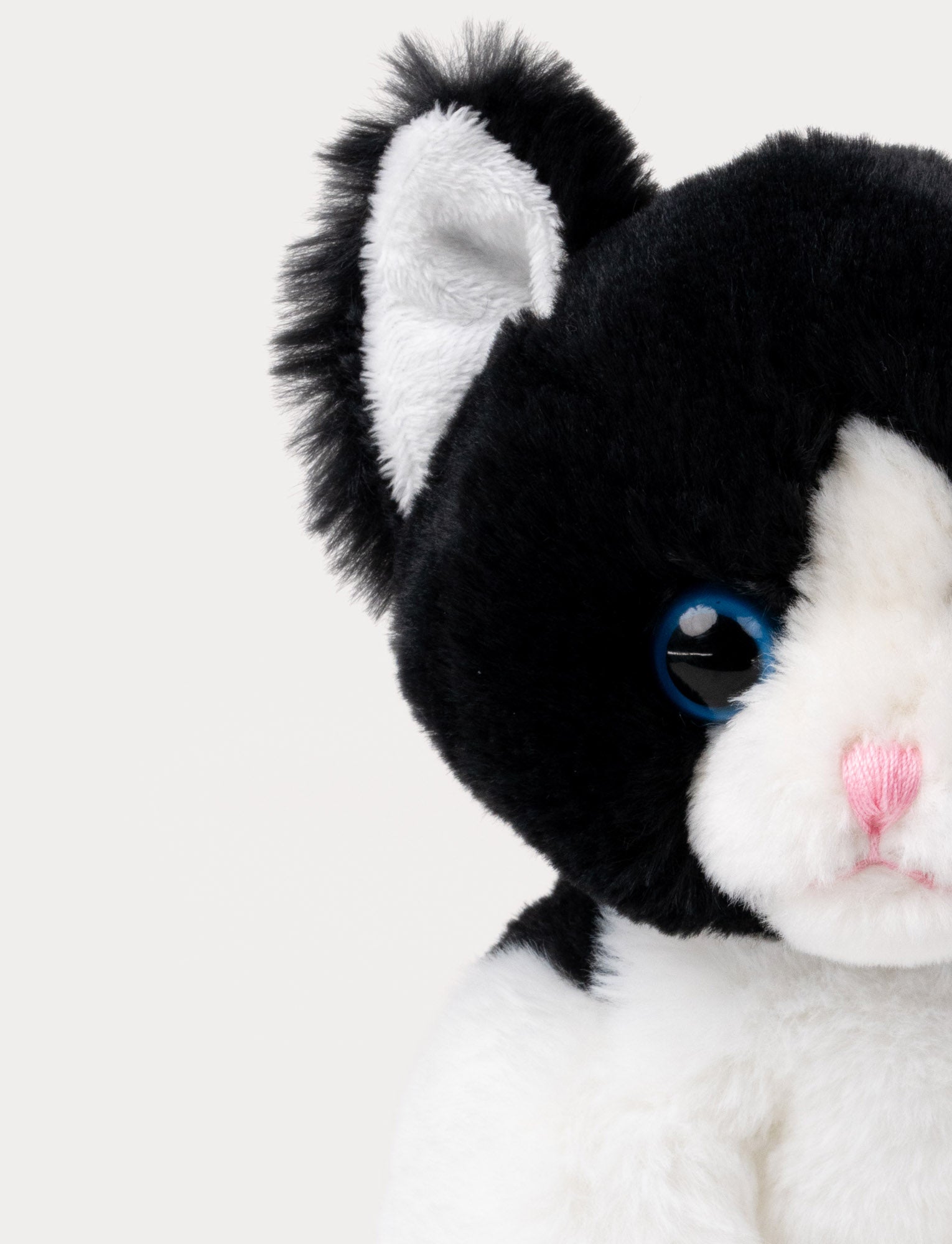 Image of Kattkompisar, Mojje