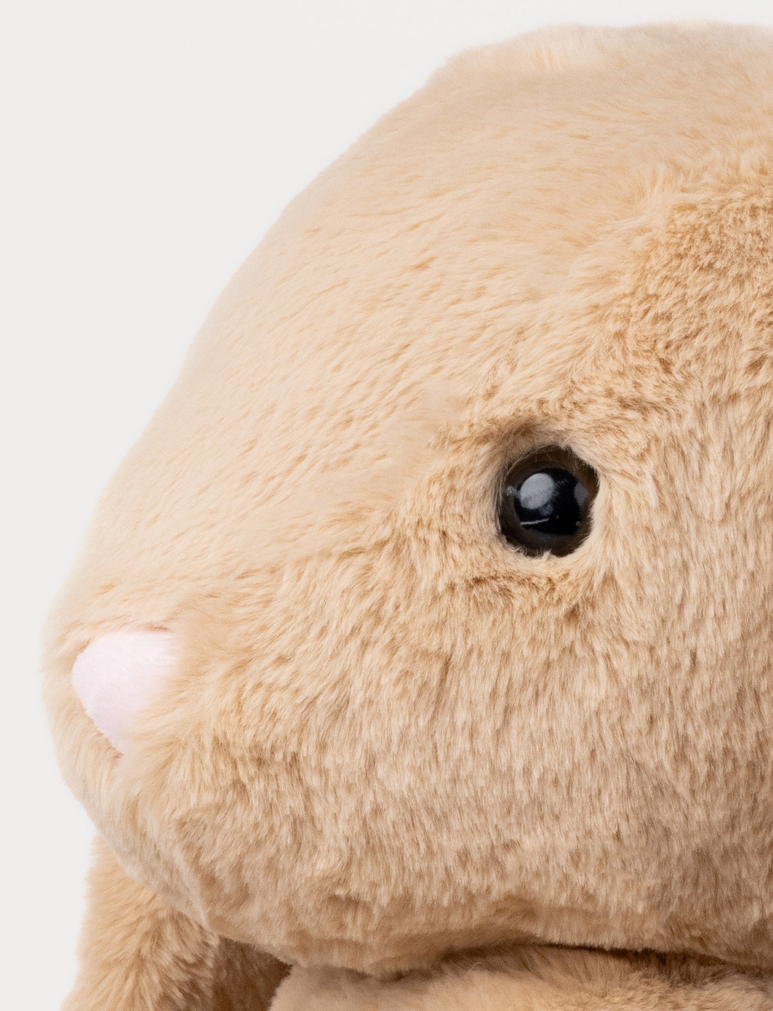 Image of Olivia, Bunny