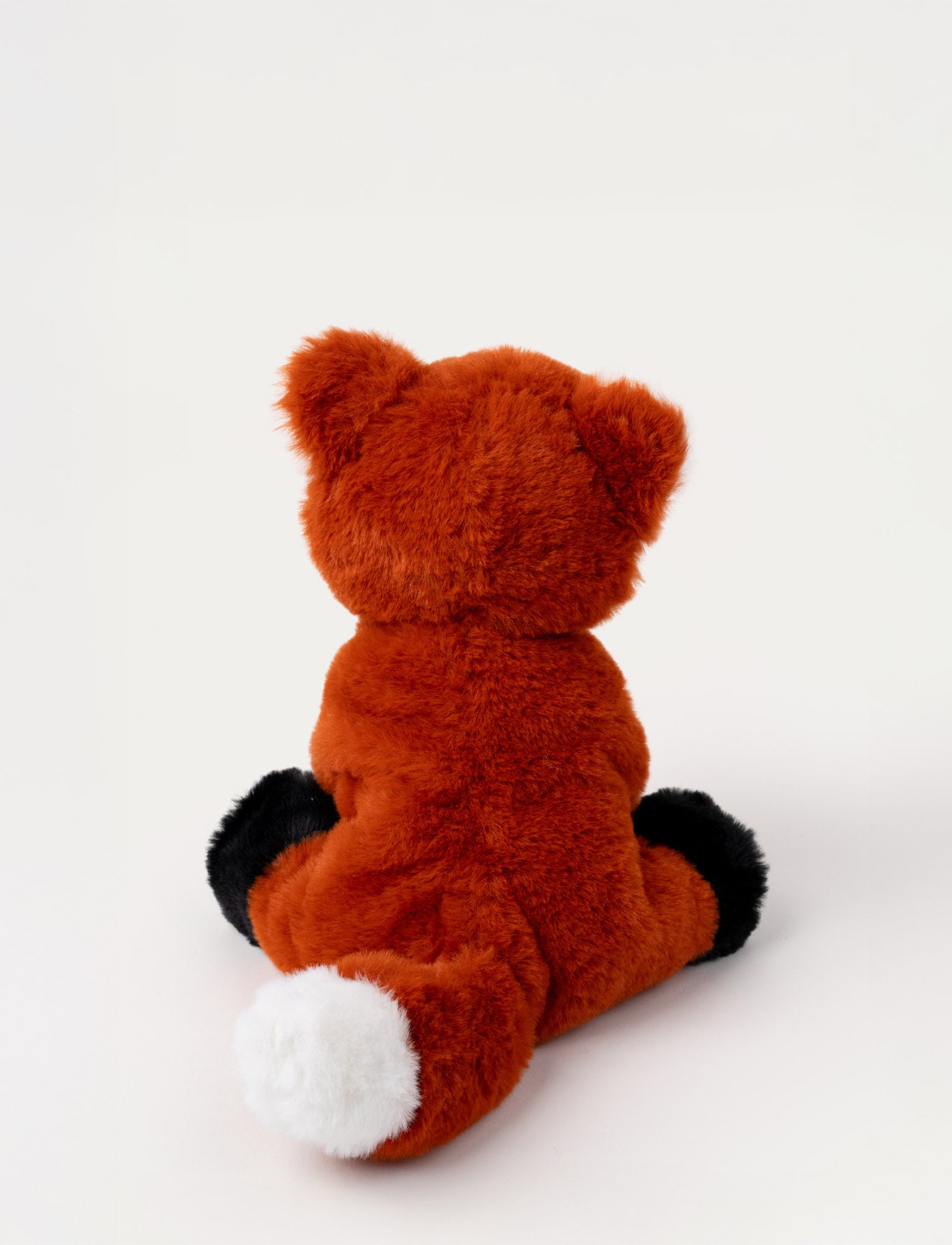 Image of Teddy Forest, Räv