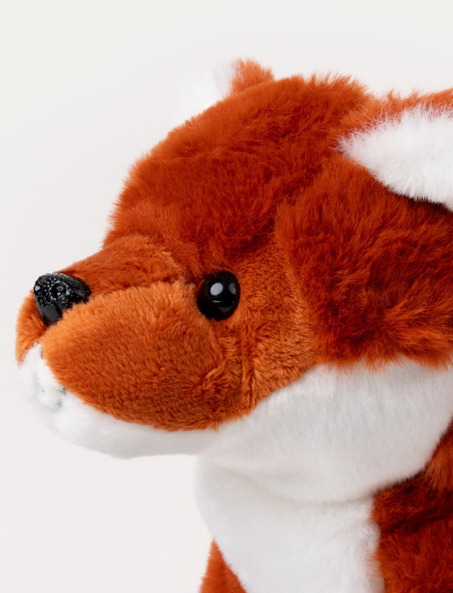 Image of Teddy Forest, Räv