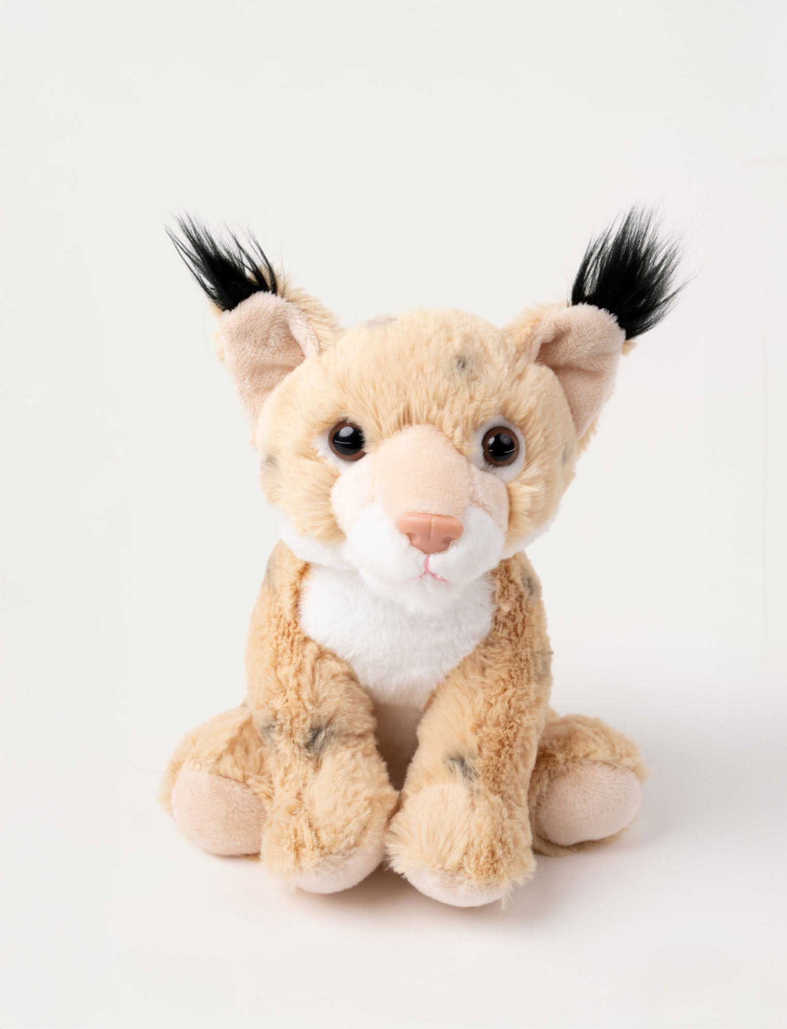 Image of Teddy Forest, Lodjur