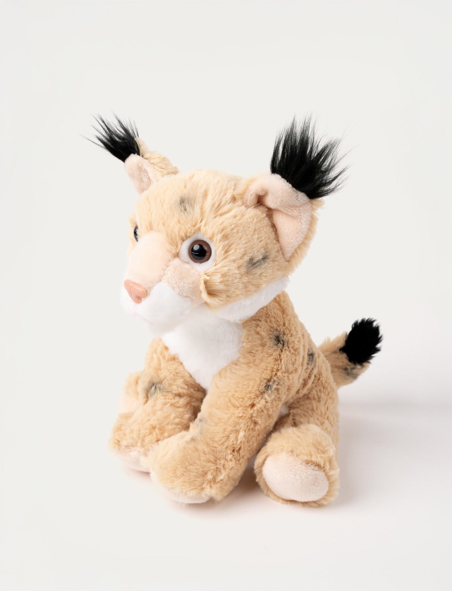 Teddy Forest, Lodjur