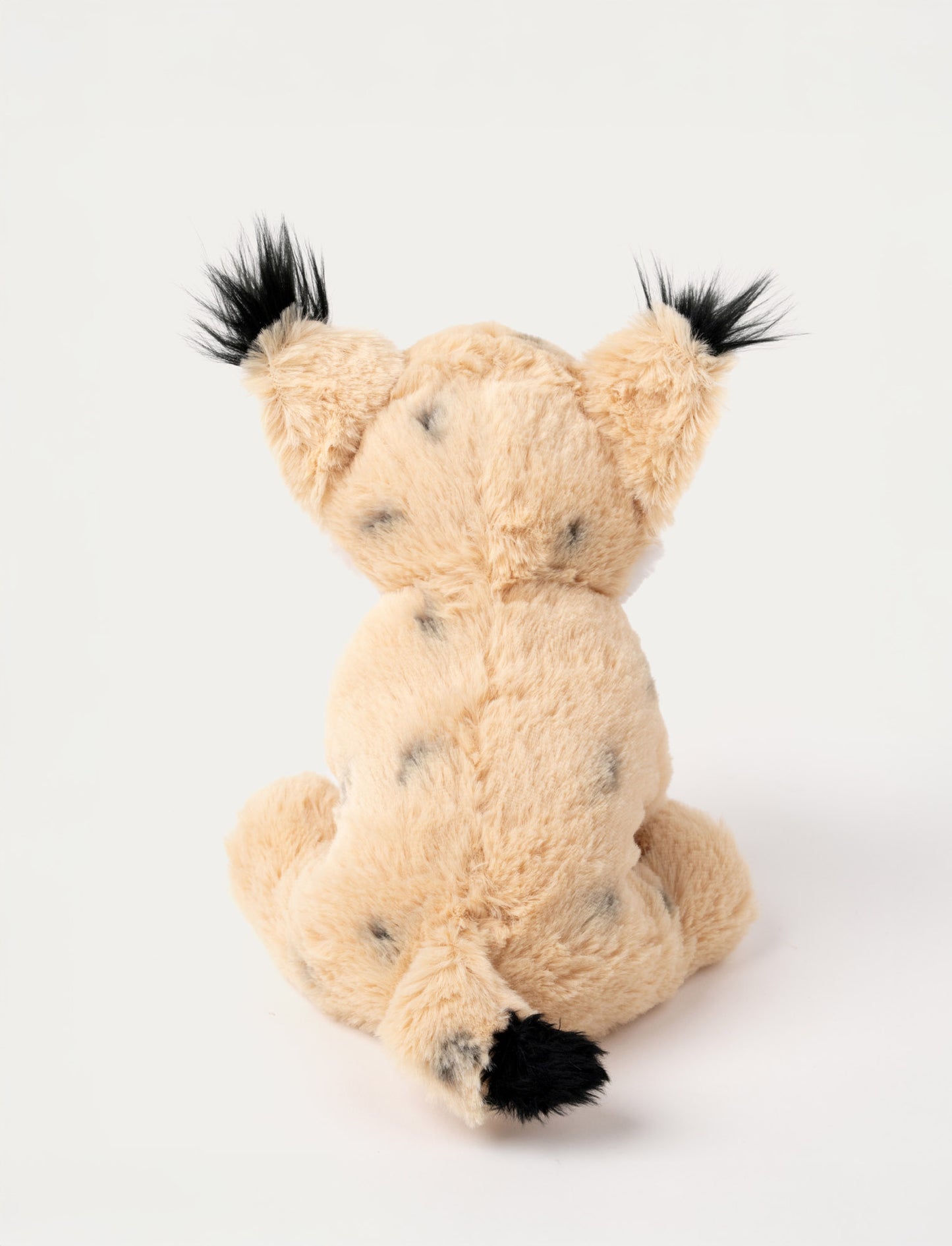 Teddy Forest, Lodjur