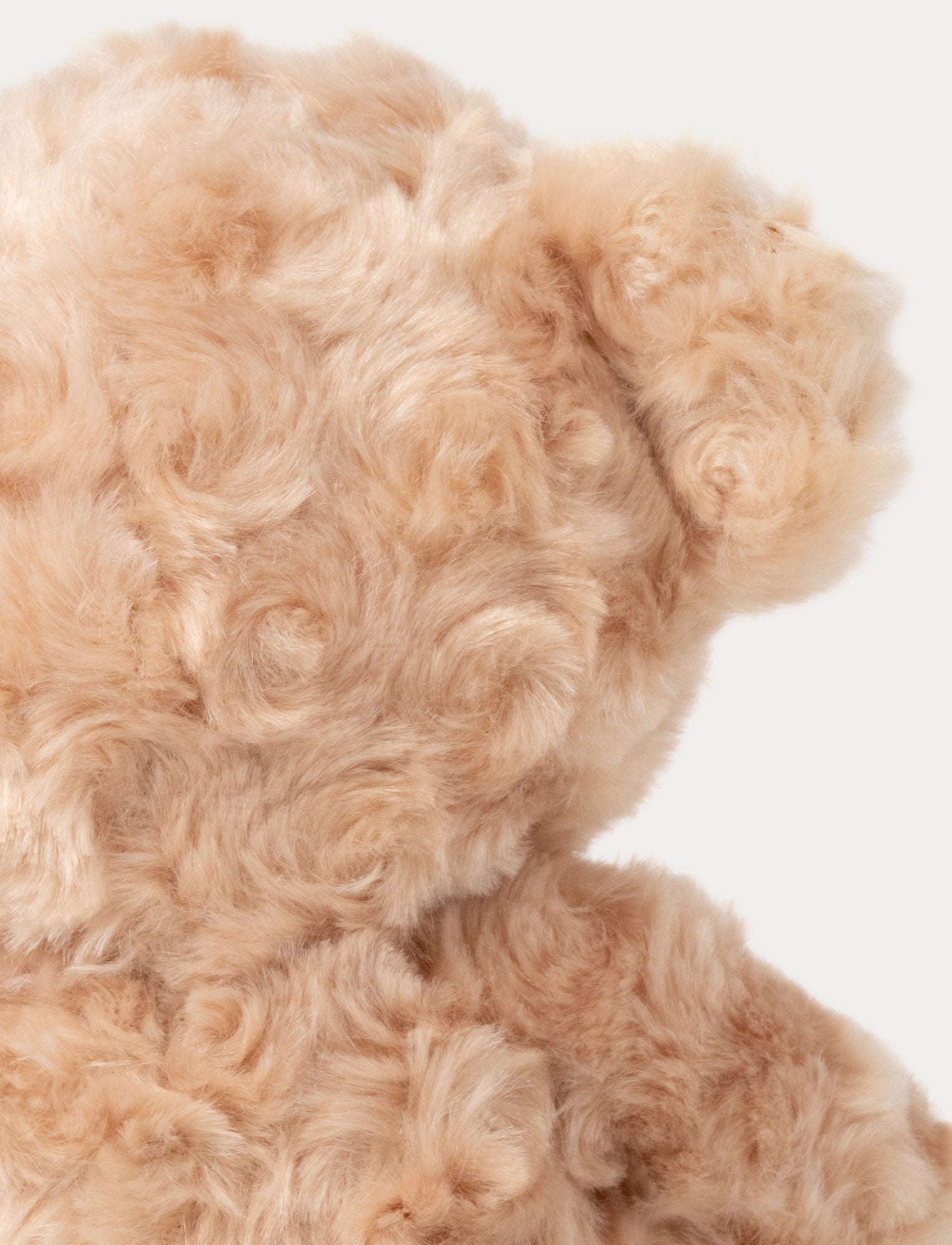 Image of Kalle, Nalle