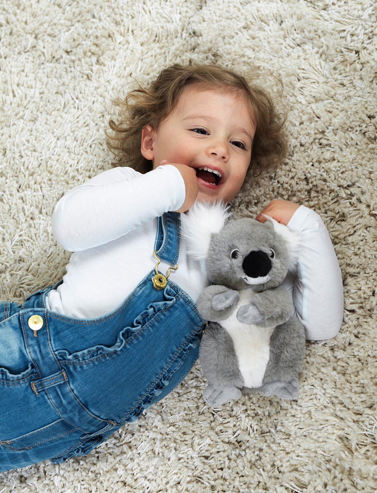 Image of Dreamies, Koala