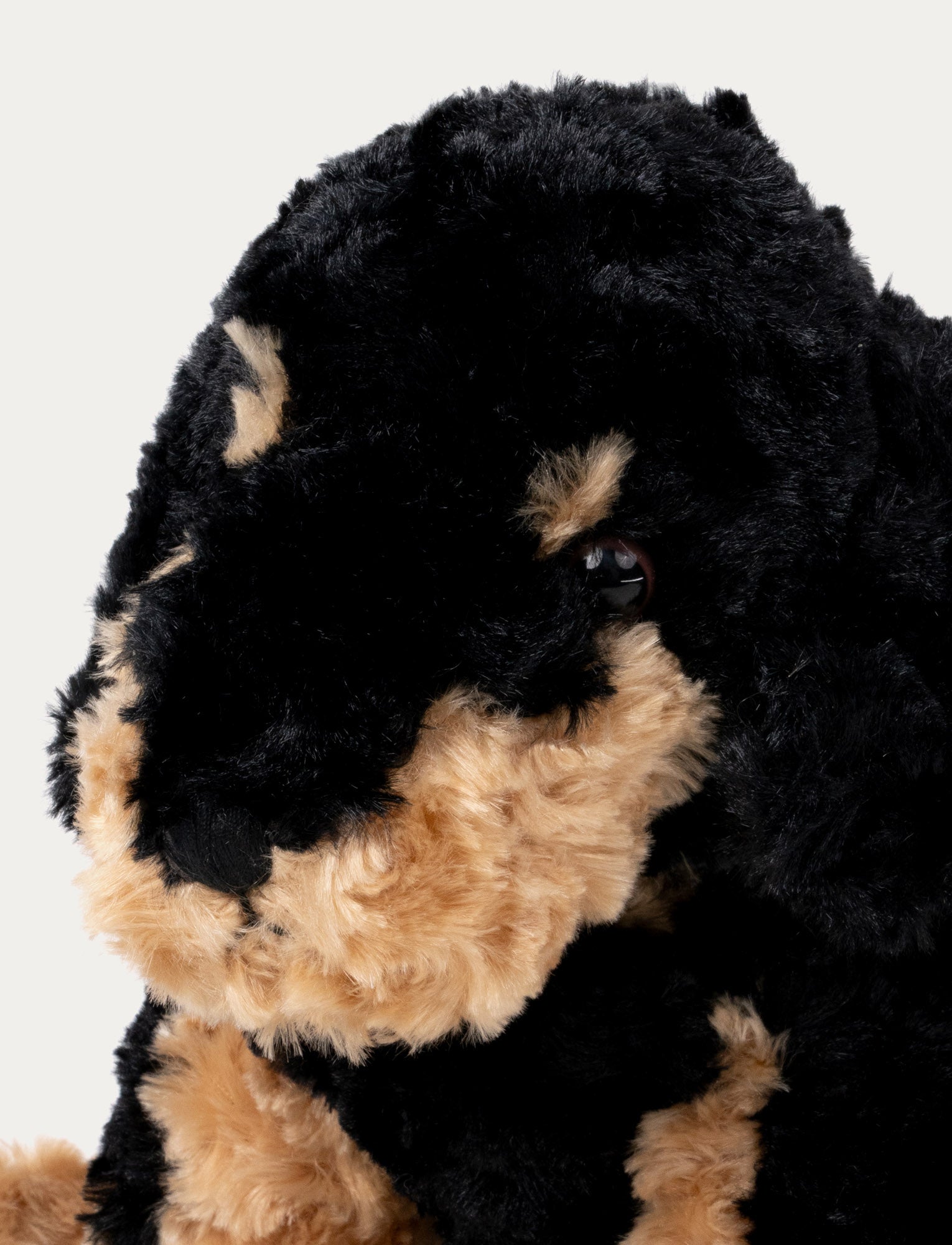 Image of Vovve, Hund