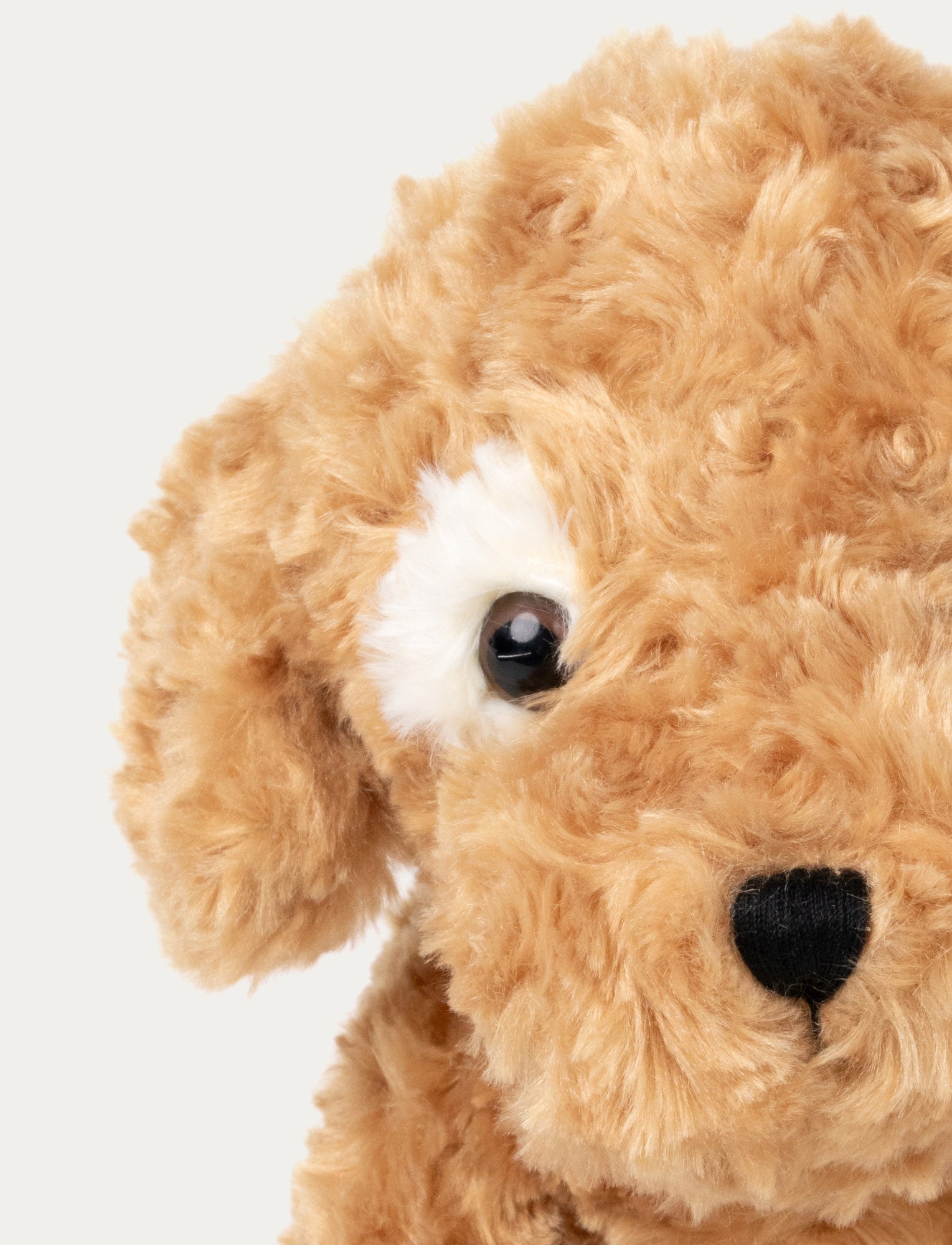 Image of Vovve, Hund