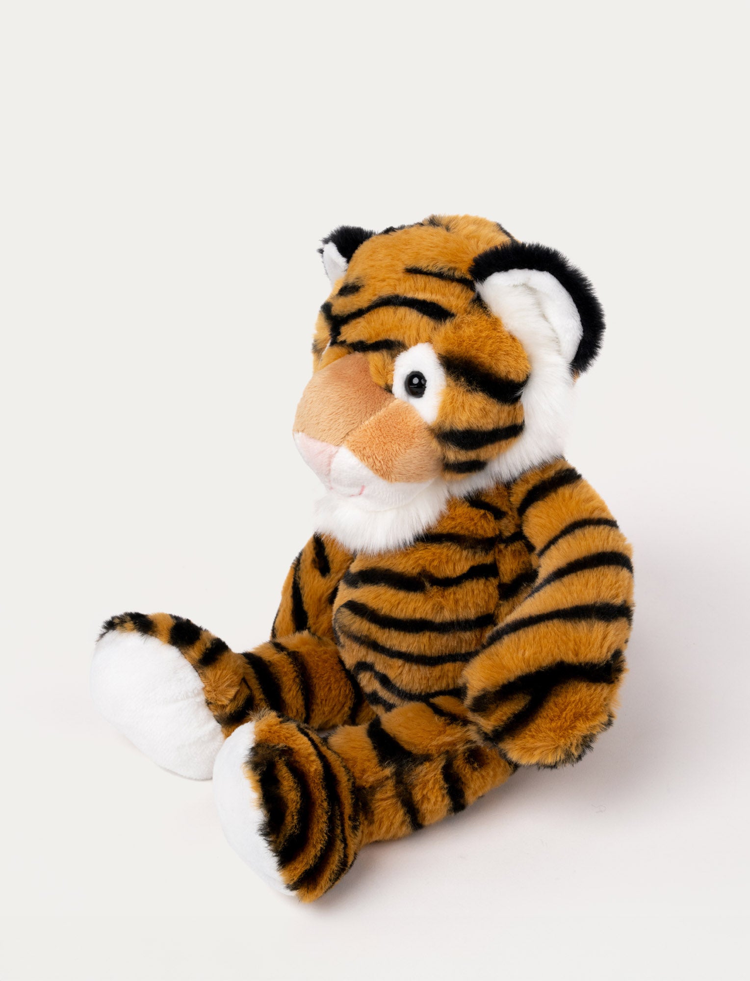 Image of Teddy Wild, Tiger