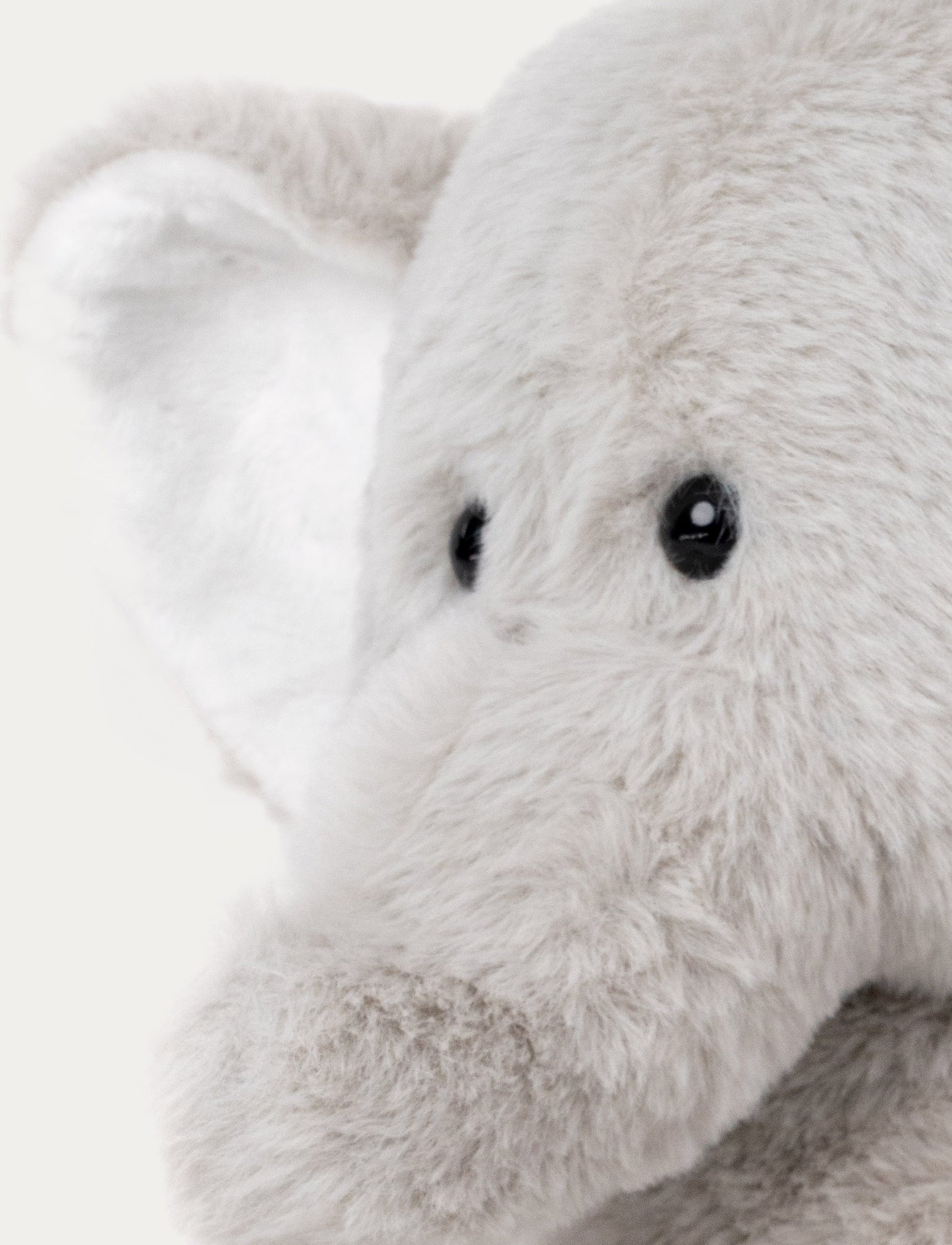 Teddy Wild, Elefant