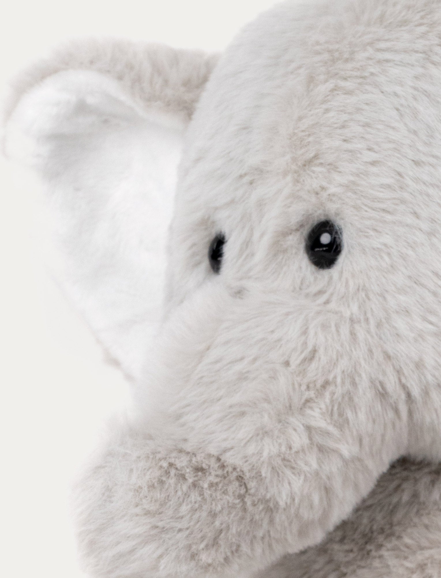 Image of Teddy Wild, Elefant