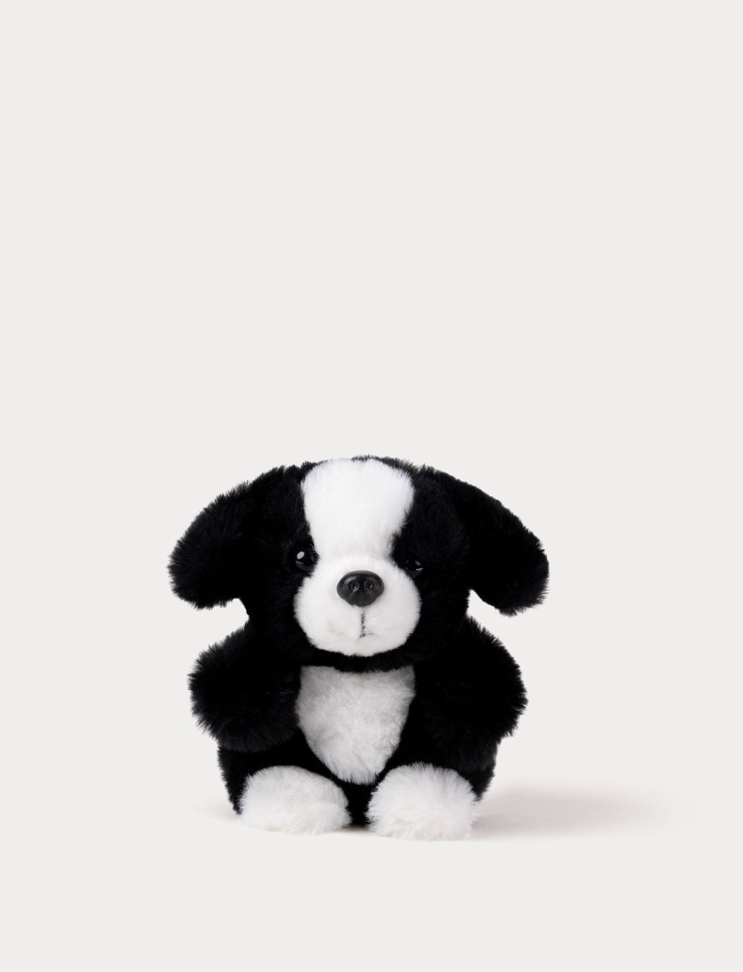 Black and white small plush dog