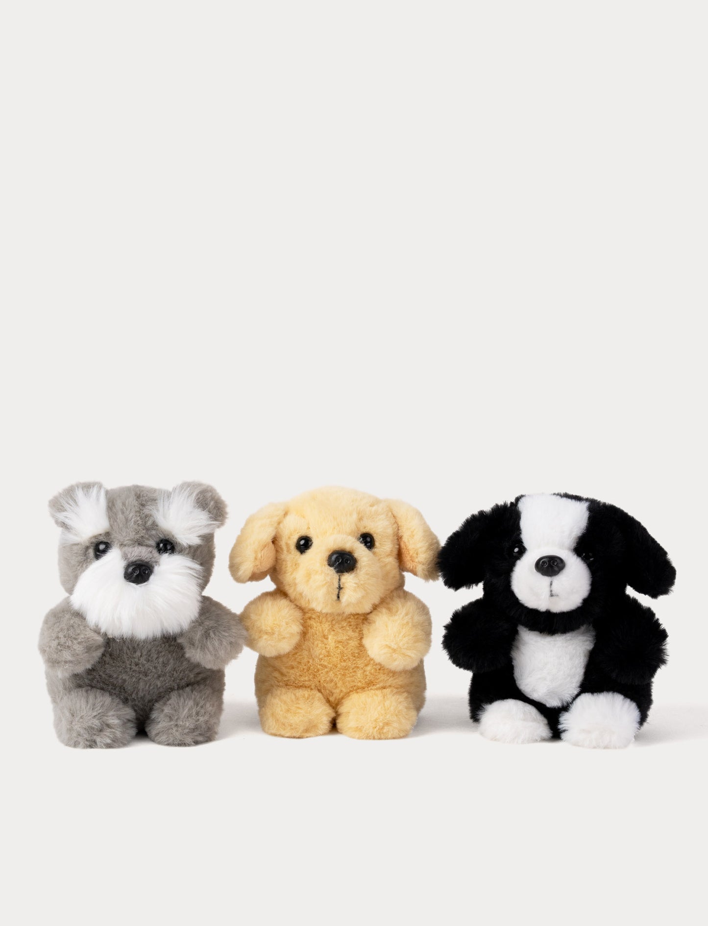 Teddy Dogs, Small