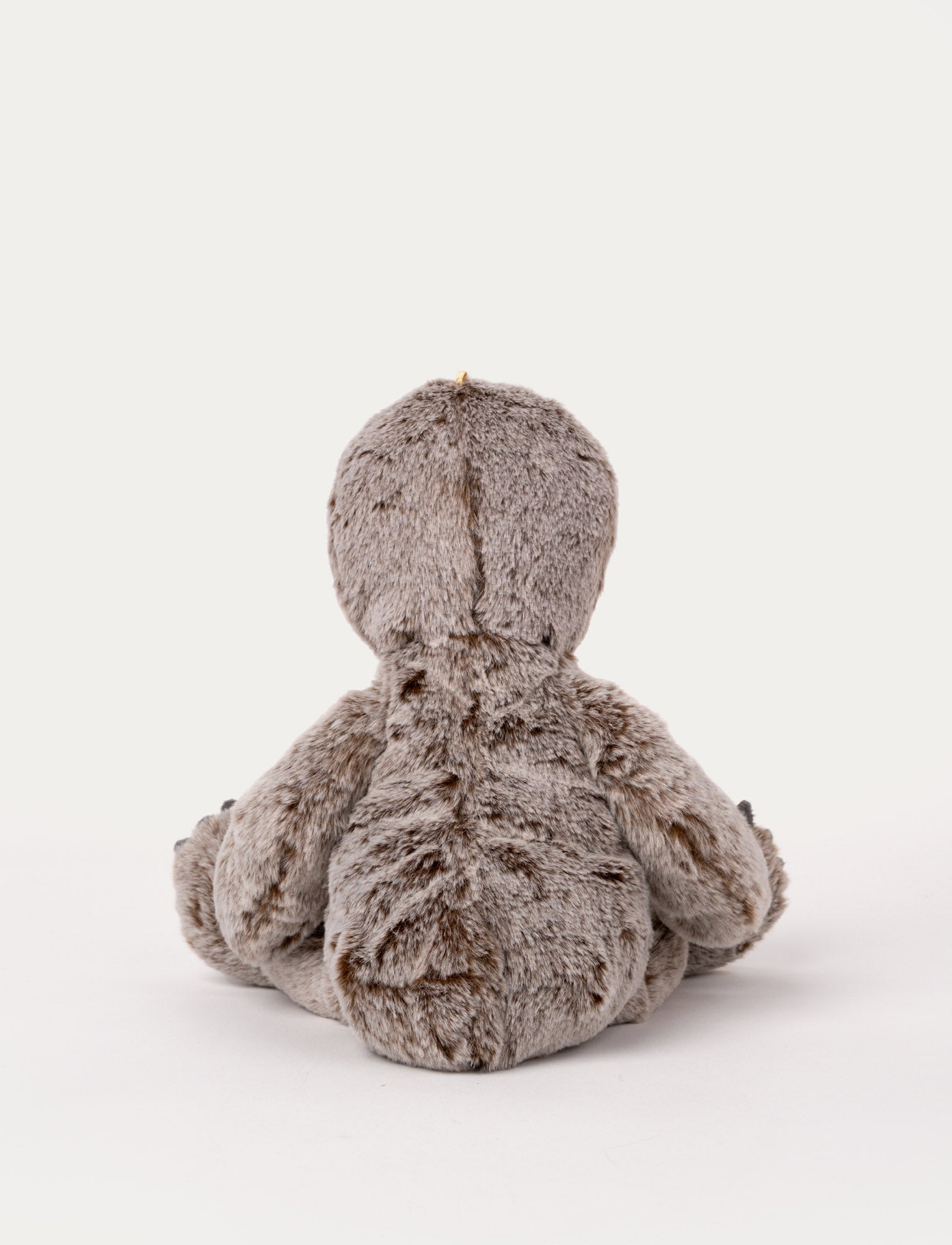 Image of Teddy Wild, Sengångare