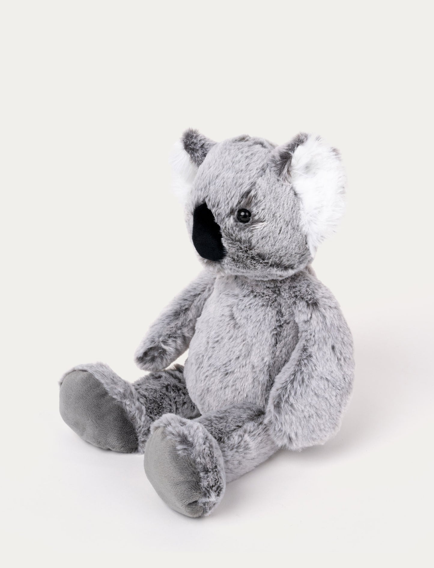Teddy Wild, Koala