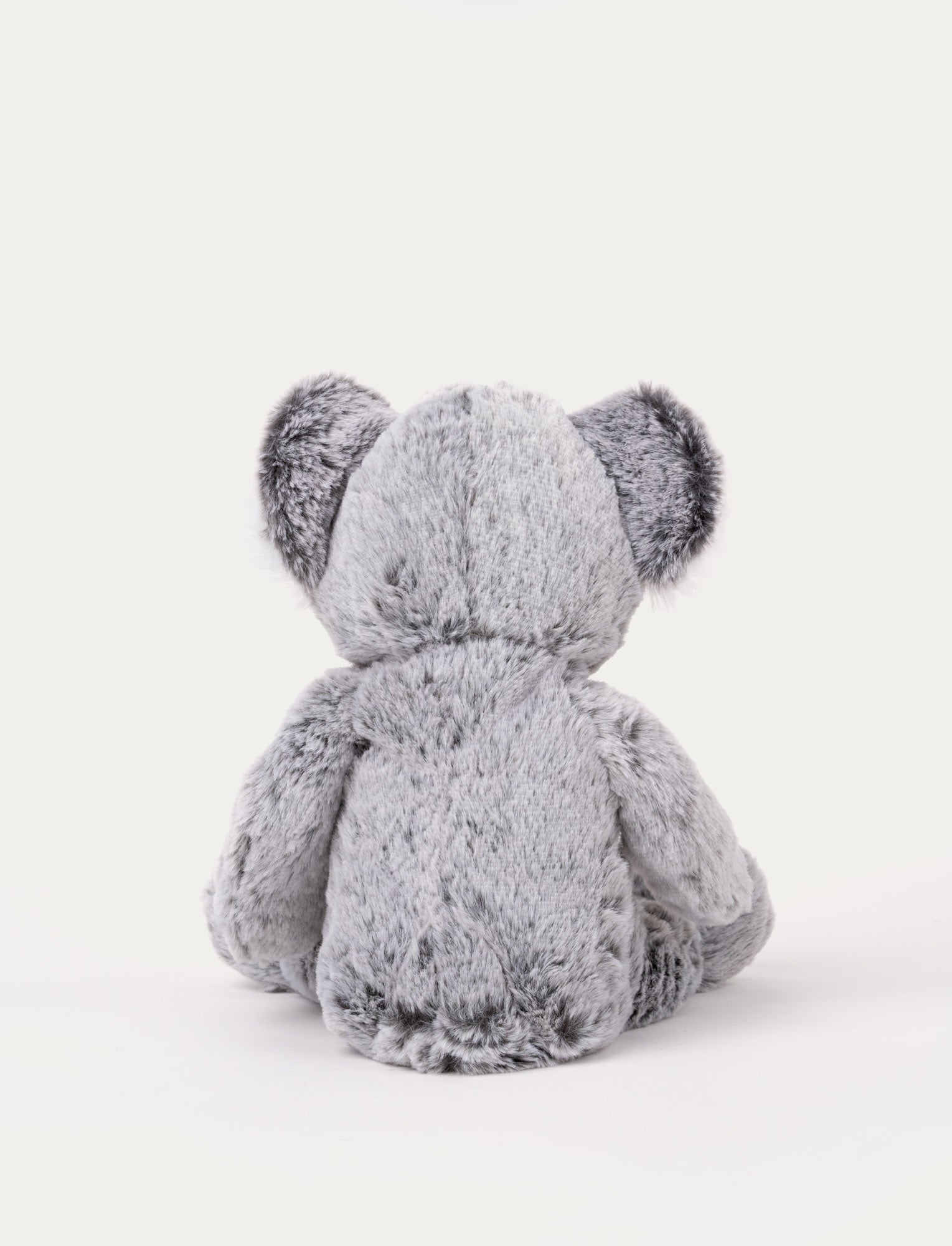 Image of Teddy Wild, Koala