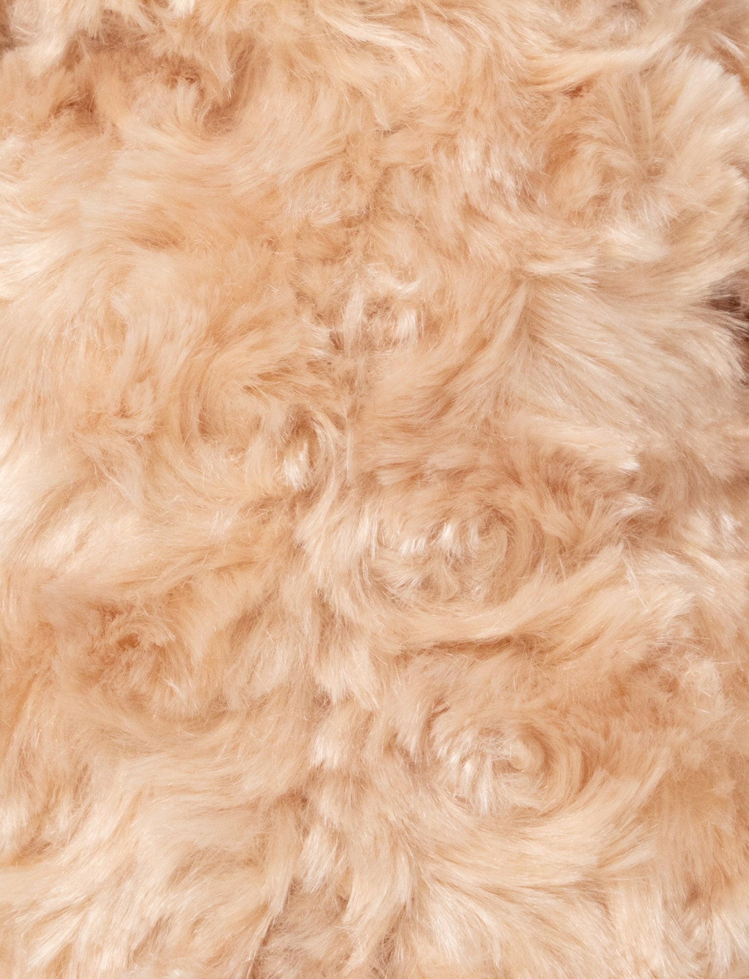 Image of Pontus, Nalle, Stor