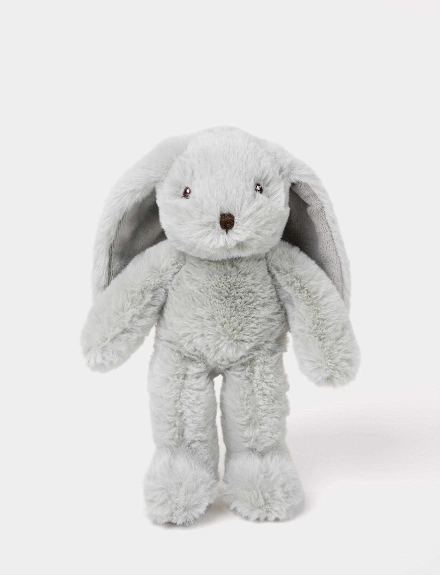 Image of A bunny with soft mint green fur, a brown nose, and a charming expression.