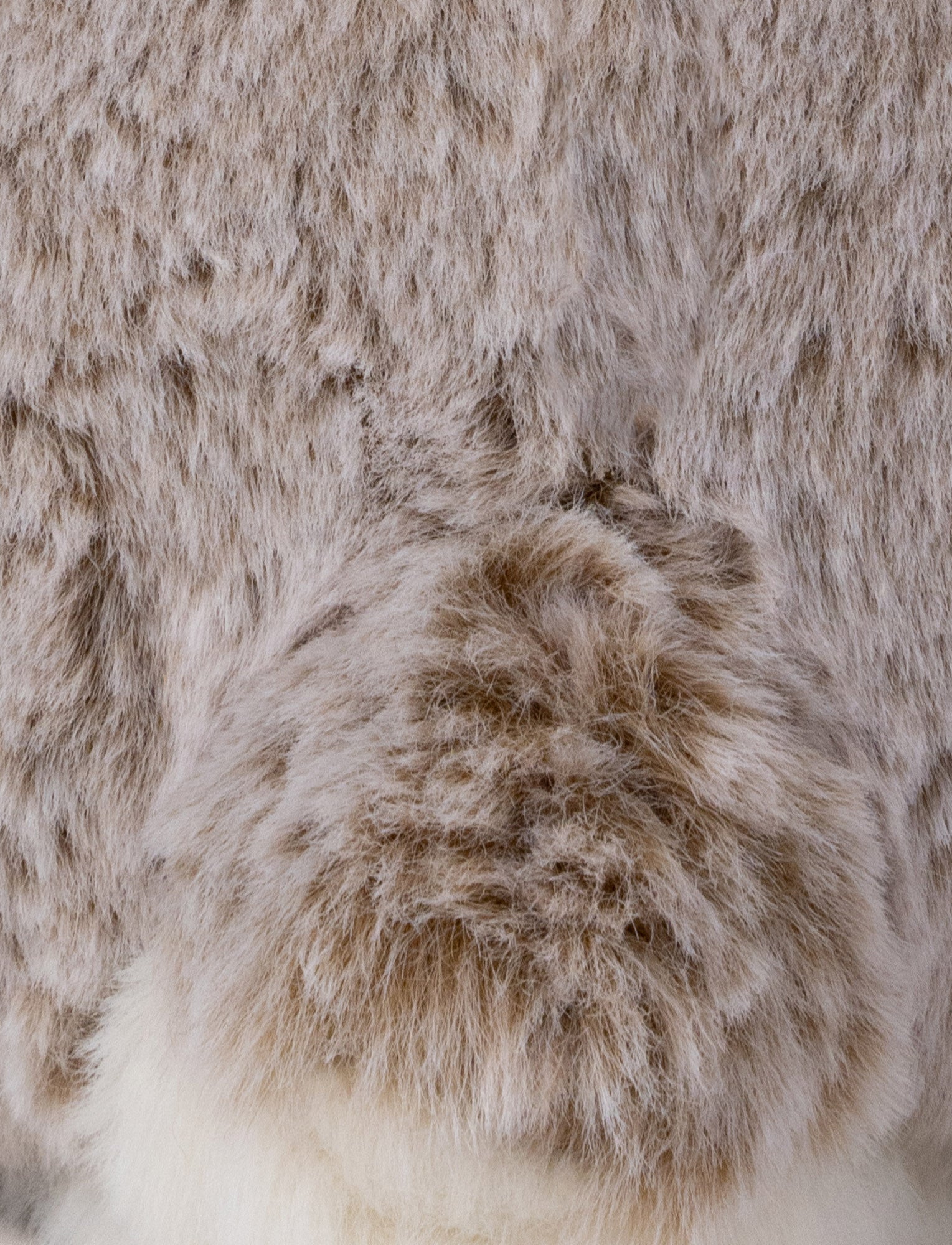 Image of Dreamies, Bunny