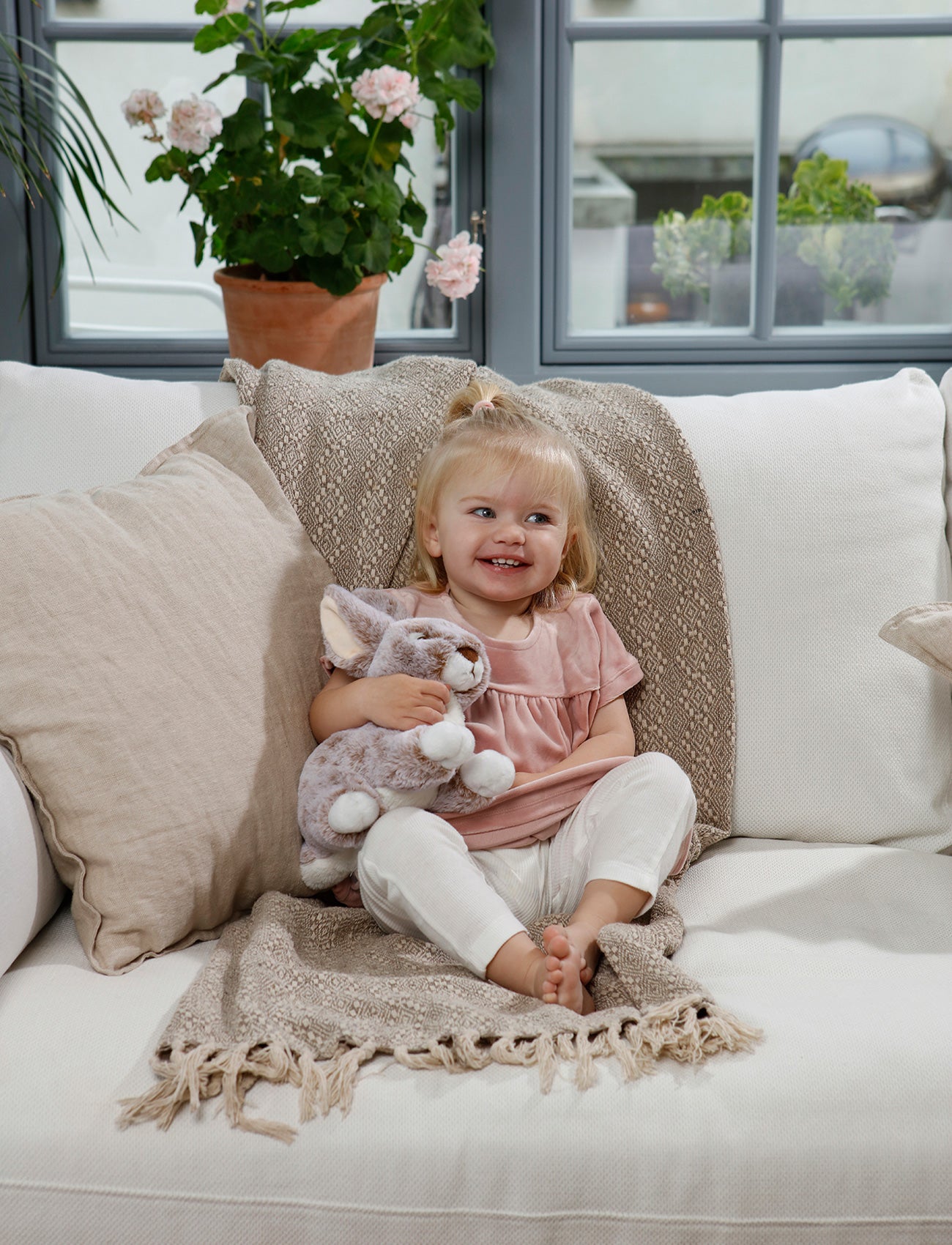 Image of Dreamies, Bunny