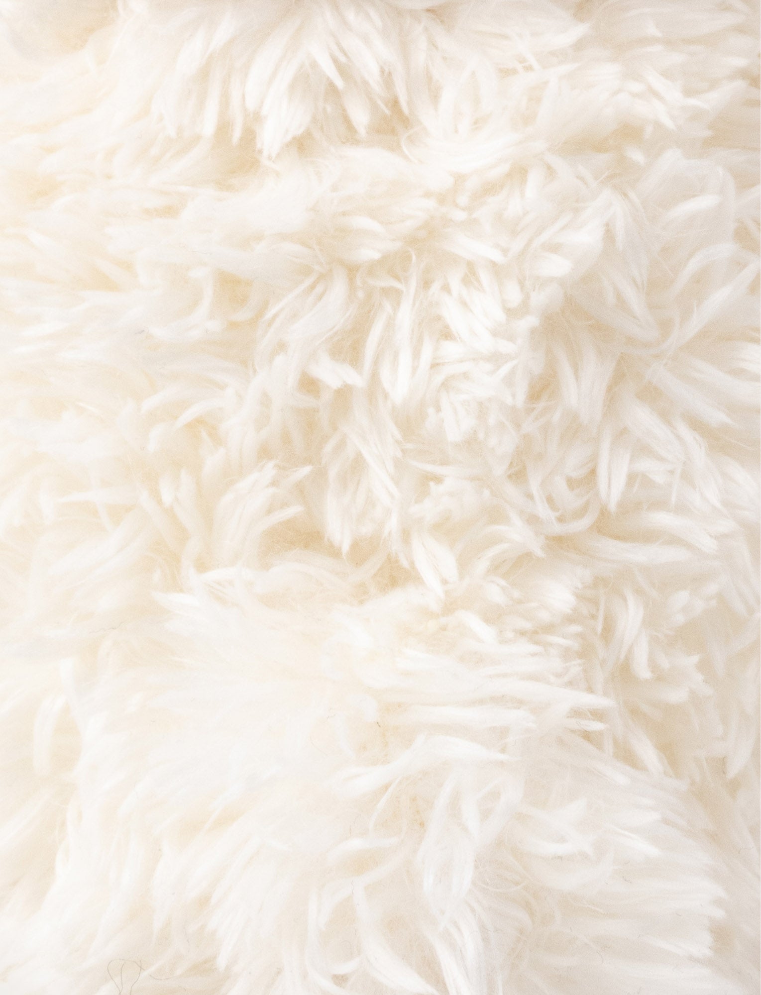 Image of Roger, Nalle, Pieni