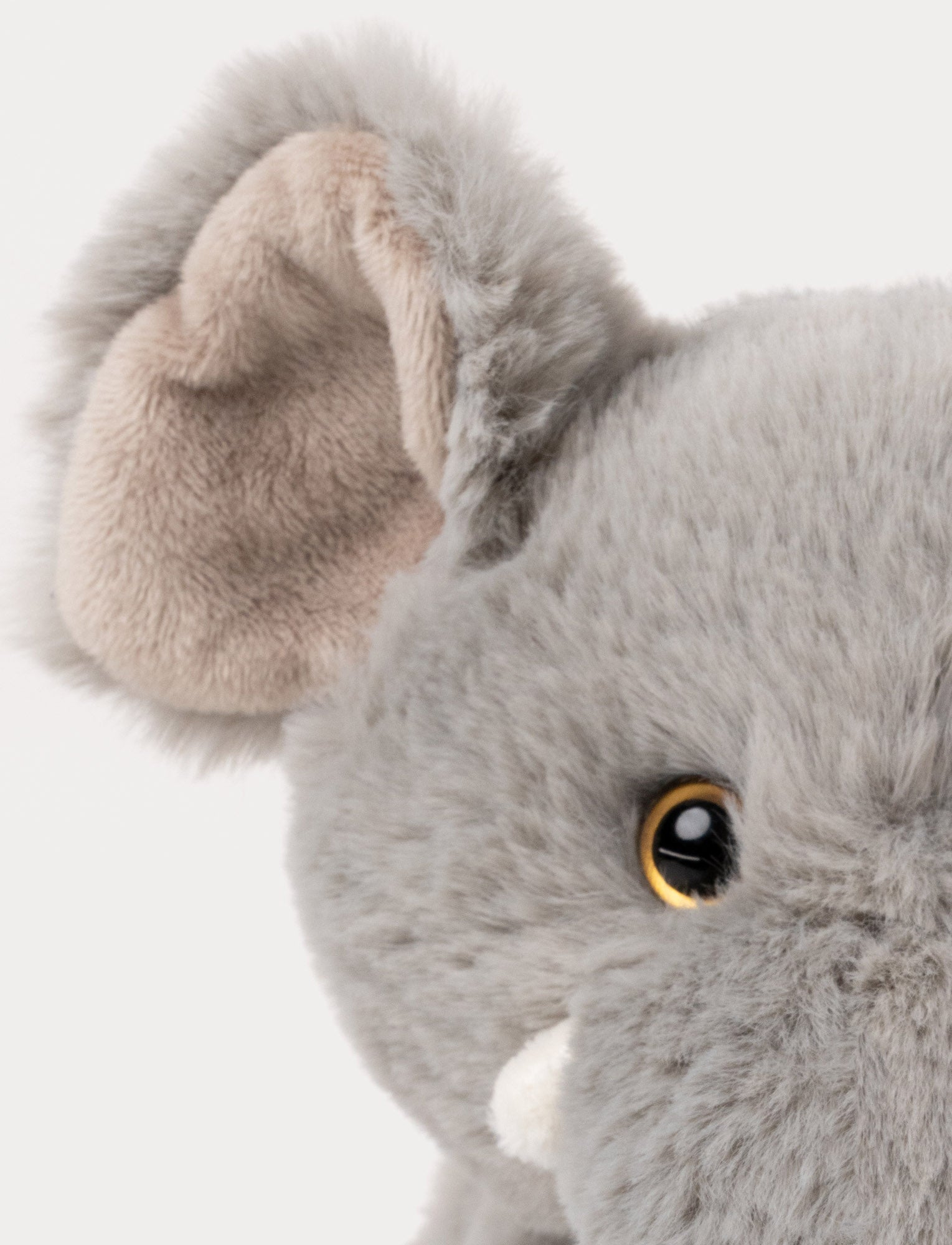 Image of Jungle Kidz, Trio