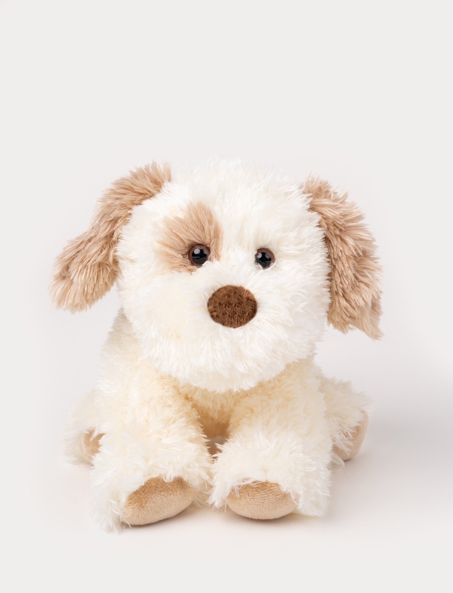 Image of A fluffy puppy with white fur, and brown details. Kind eyes, perfect for cuddling and carrying.