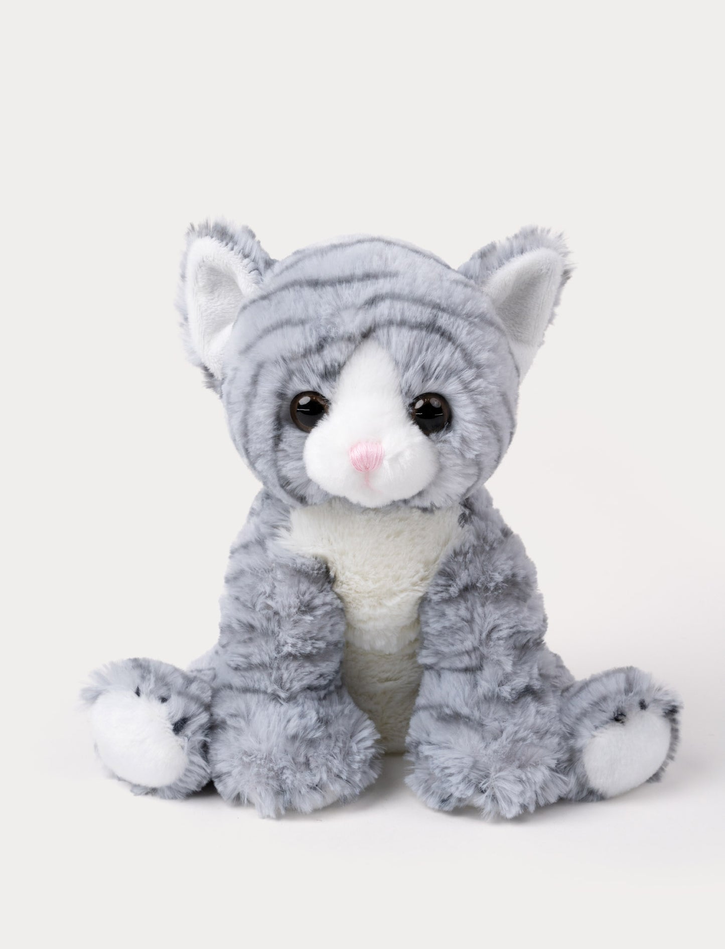 A cat with soft gray-striped fur, big paws, kind eyes, and a playful expression.