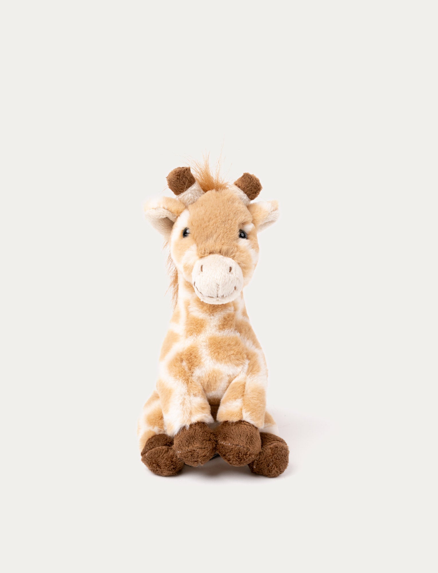 Image of A giraffe with soft plush fur, beige spots, a long-haired mane