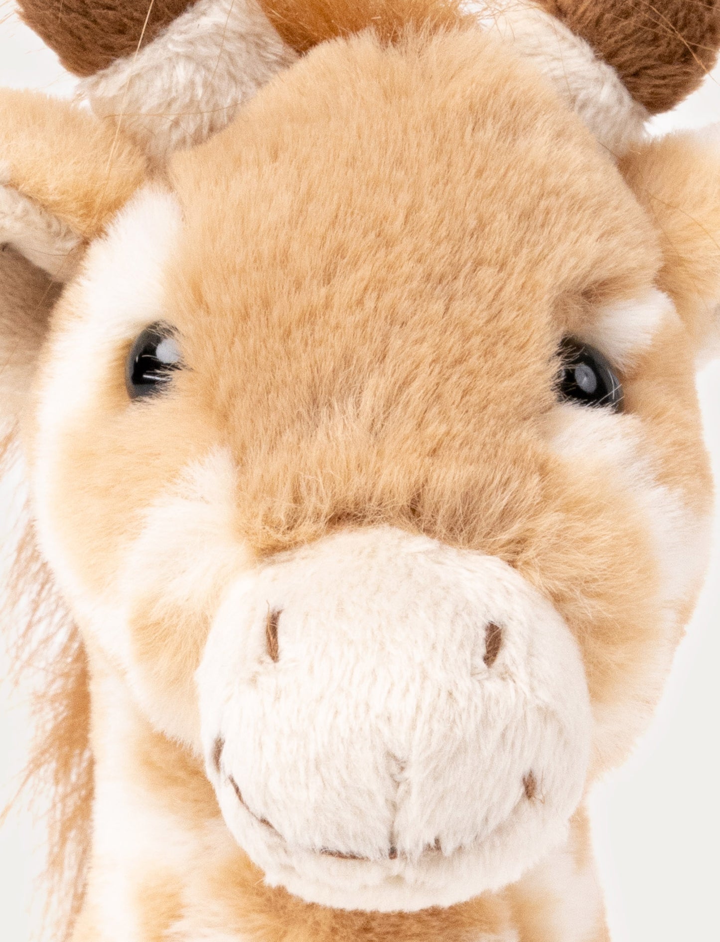 Giraffen Gina, Liten