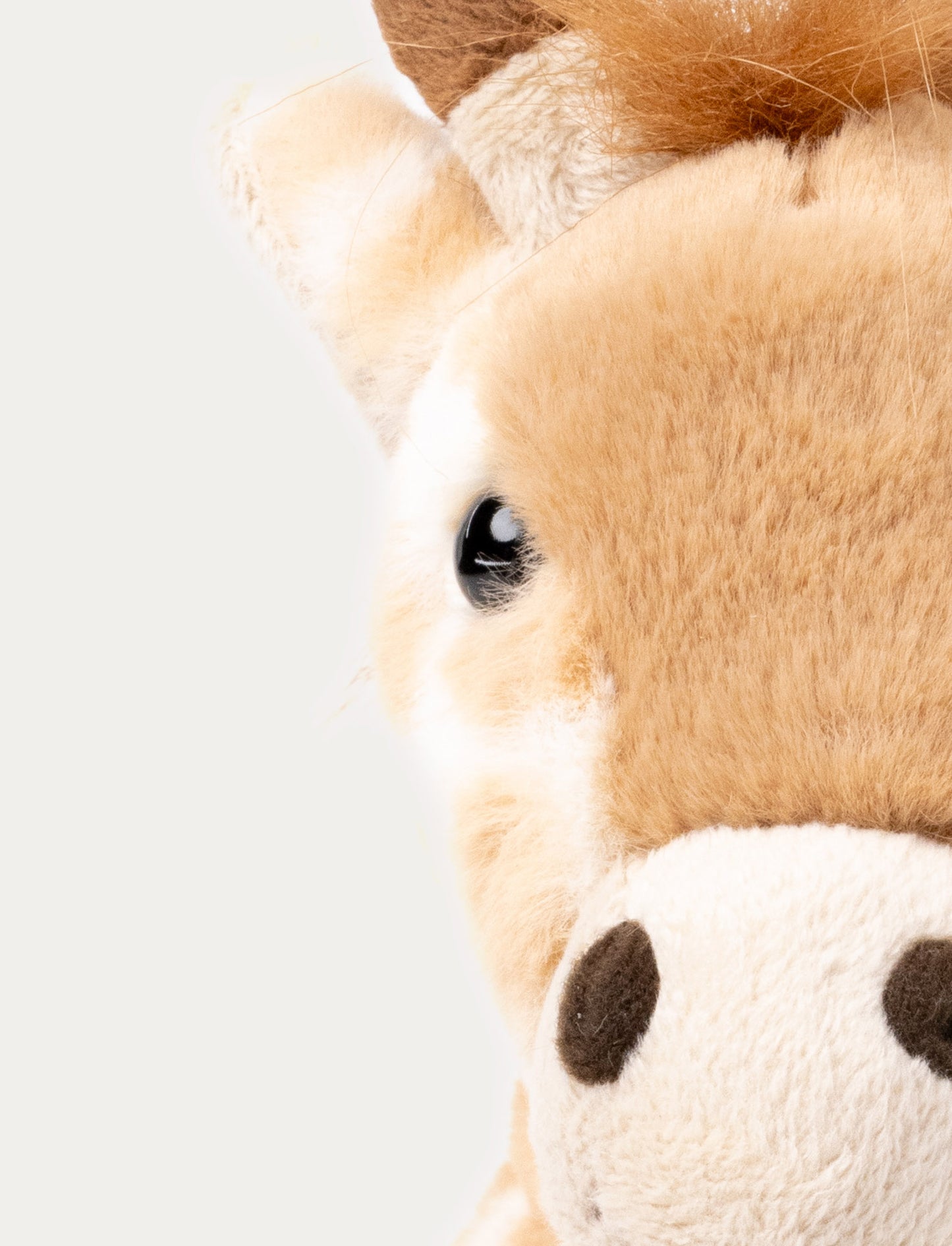 Giraffe Gina, Big