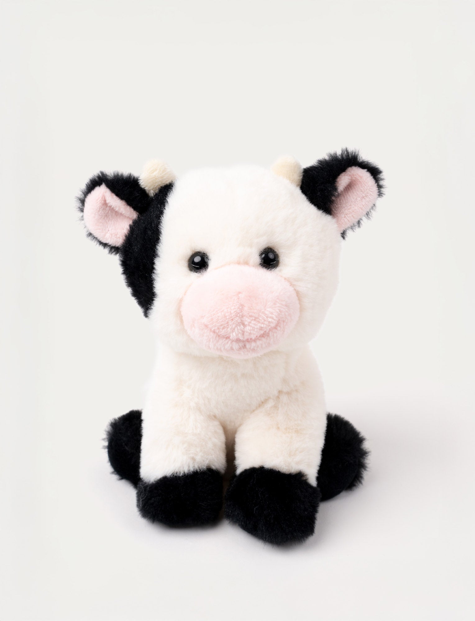 Image of A small cow with black and white soft fur, a charming expression, and a sitting pose.