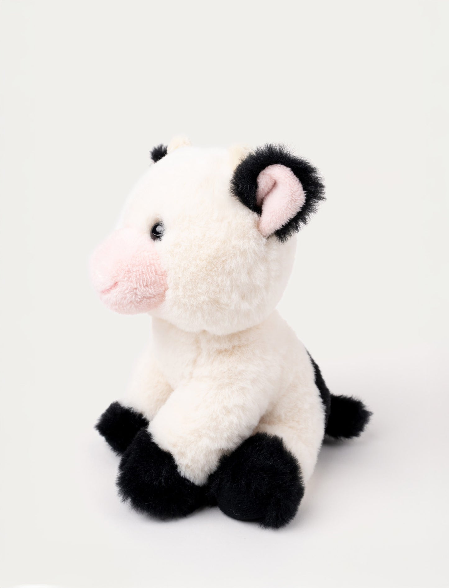 Teddy Farm , Sittande ko