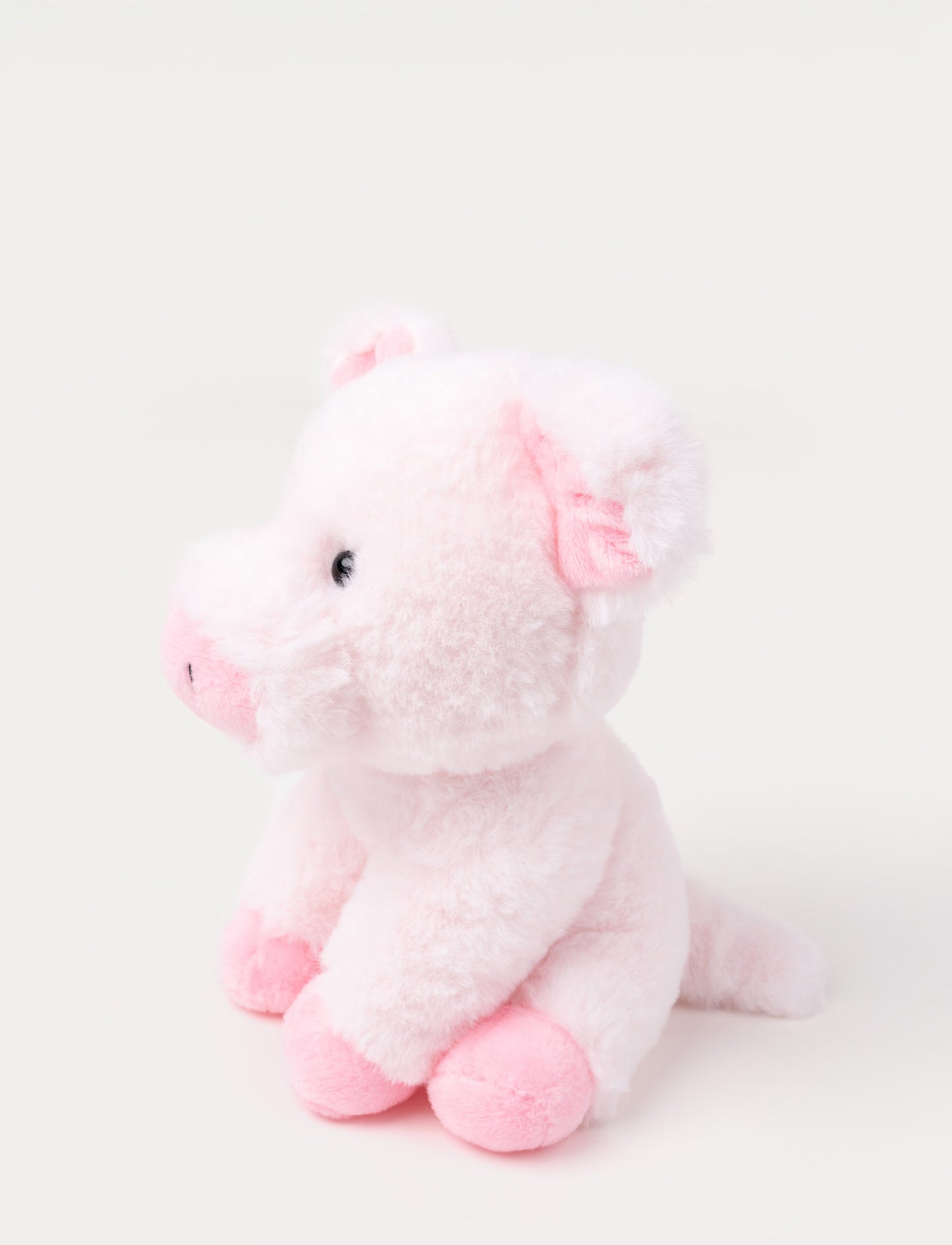 Teddy Farm, Sittande gris