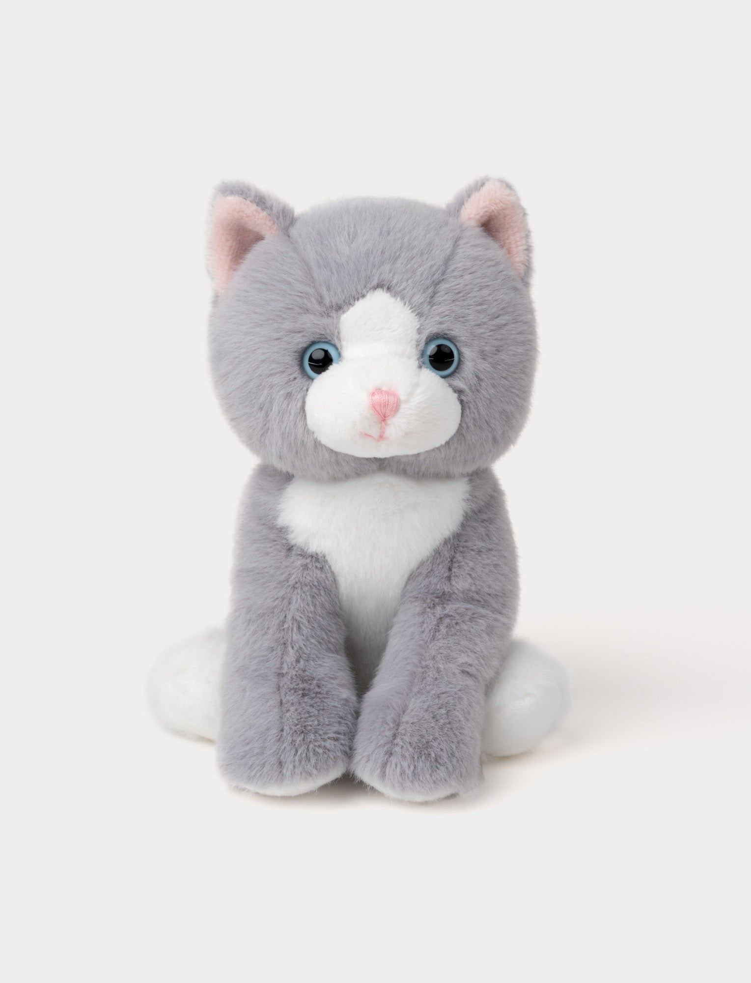 Gray and white kitten – soft & cuddly playmate – Teddykompaniet