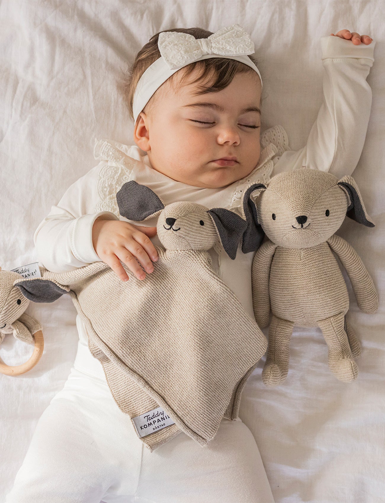 Teddy Baby Giftset, Dog