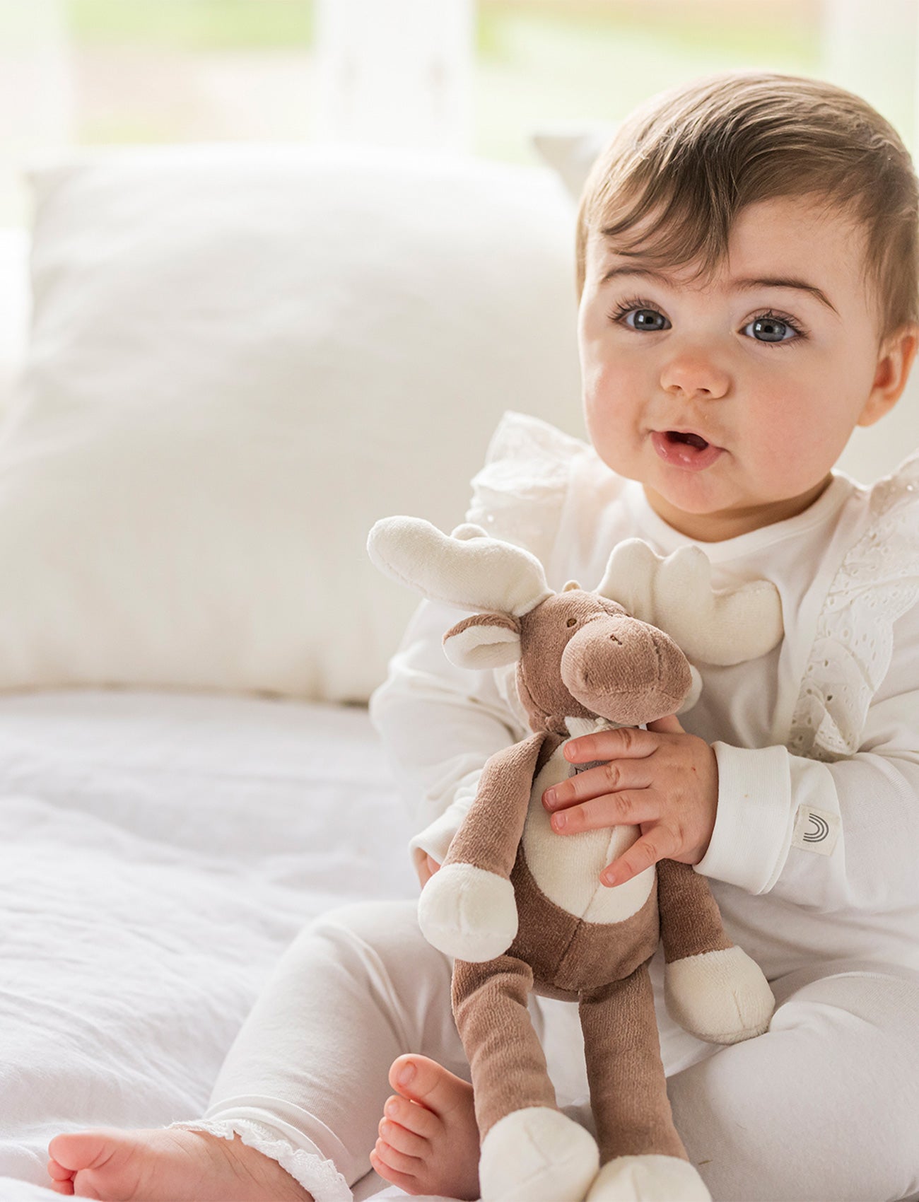 Image of Diinglisar Organic, Moose