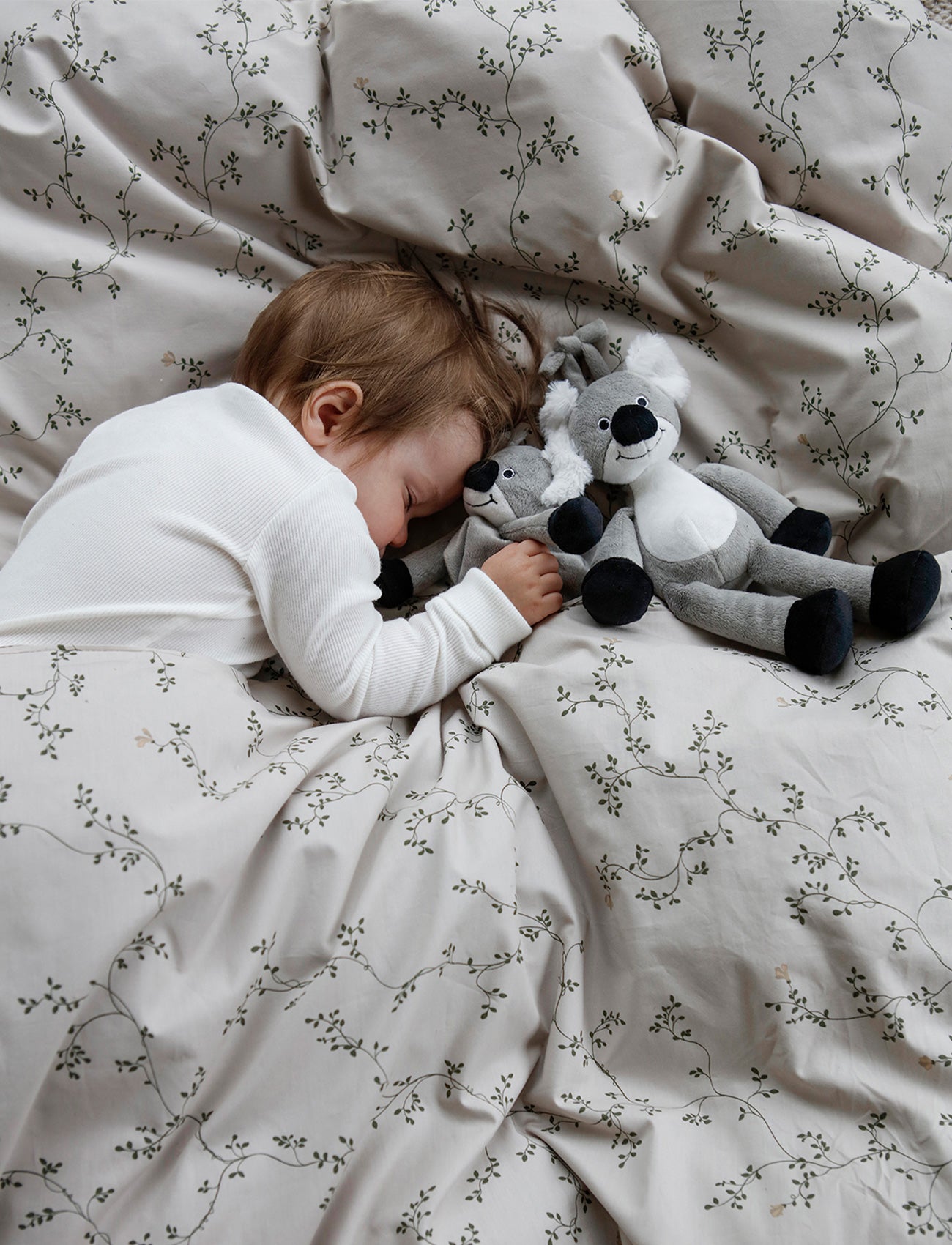 Image of Diinglisar, Speldosa, Koala