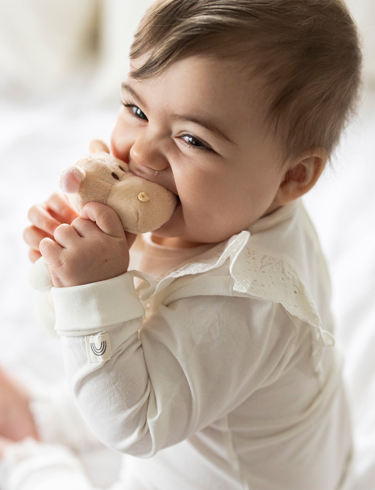 Diinglisar, Skallra, Flodhäst