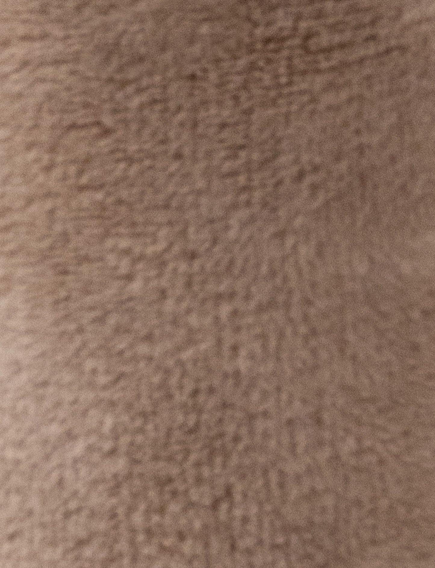 Diinglisar, Rattle, Hippo