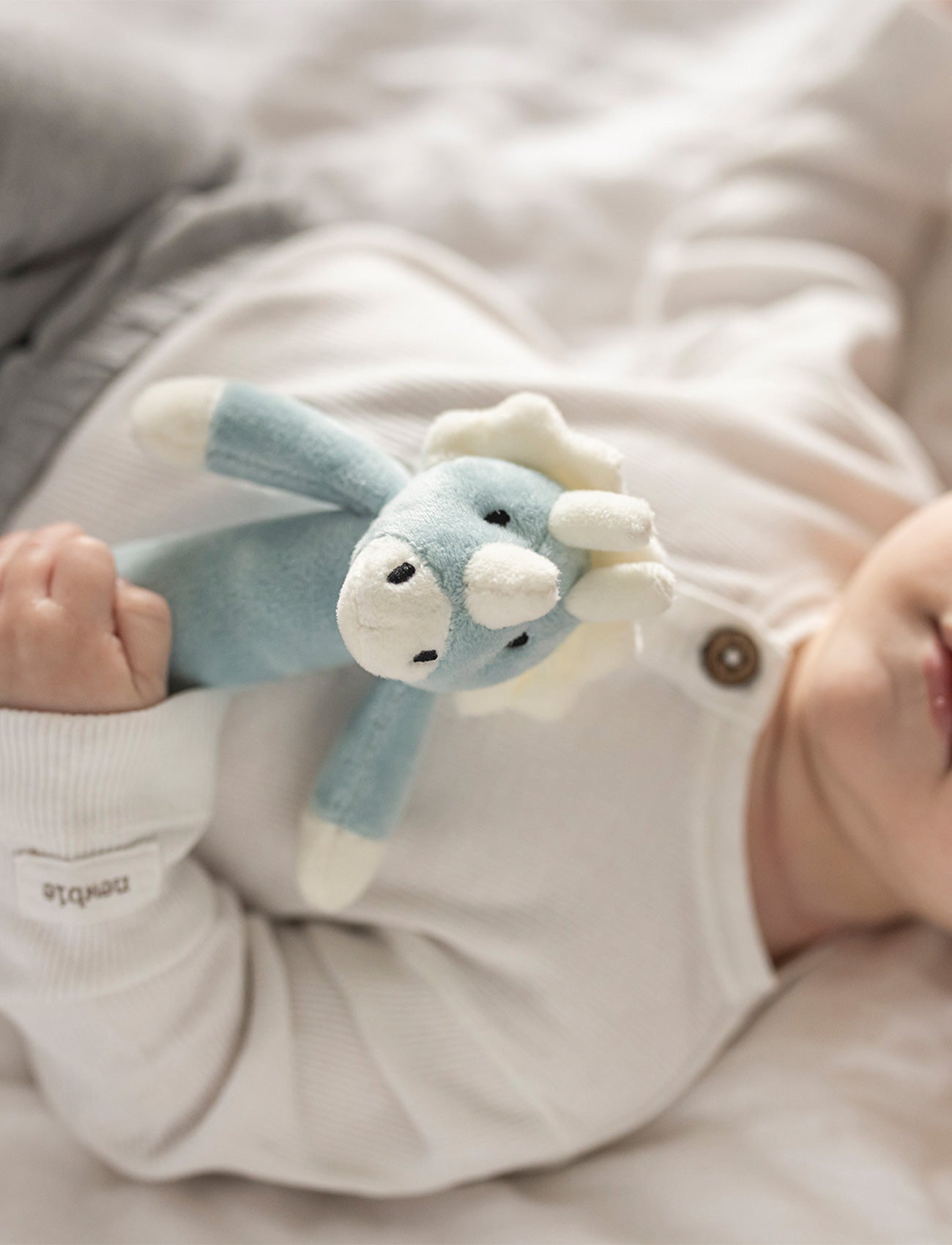 Diinglisar, Helistin, Dino