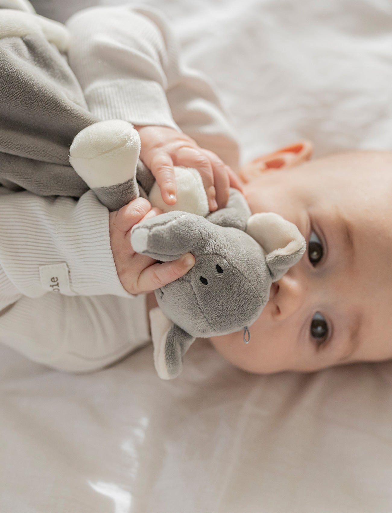 Diinglisar, Baby Blanket, Elephant