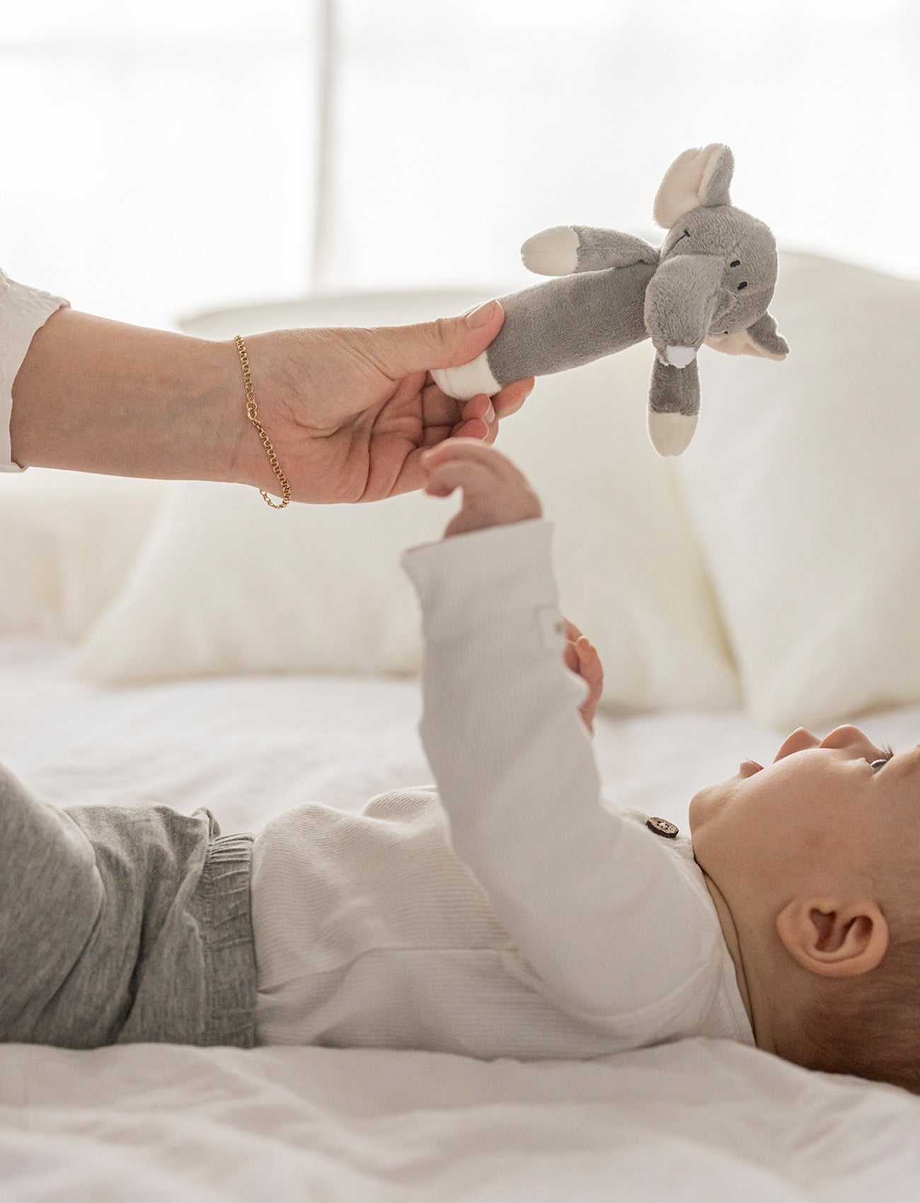 Image of Diinglisar Giftset, Elephant